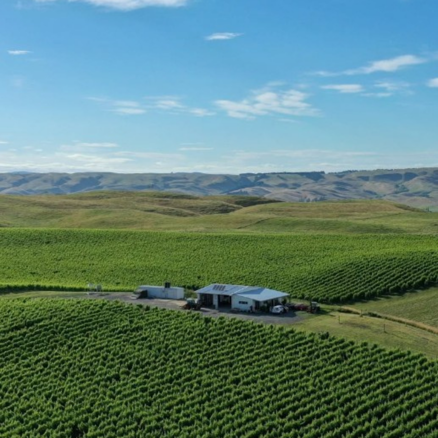 Normanby Fine Wines