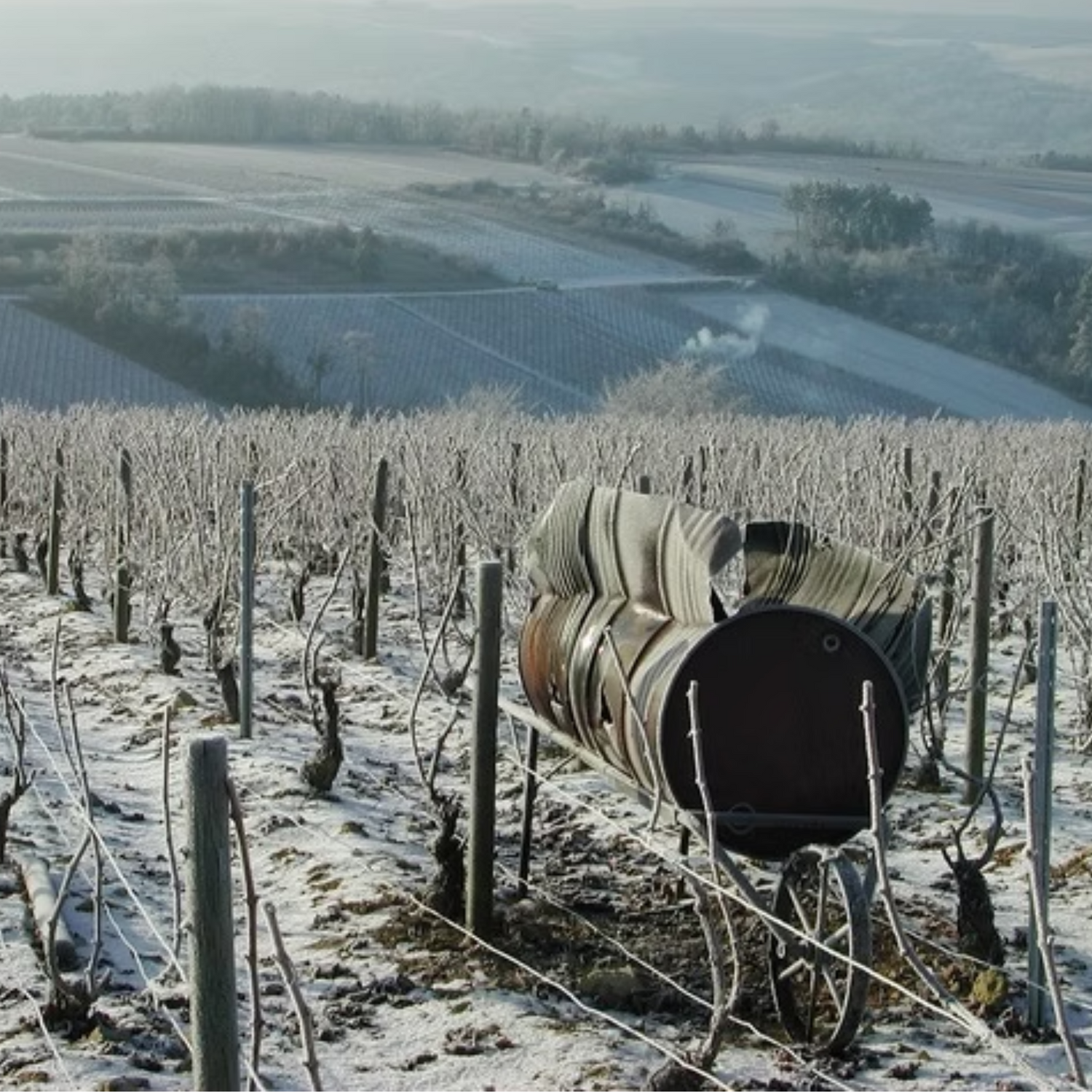 Normanby Fine Wines