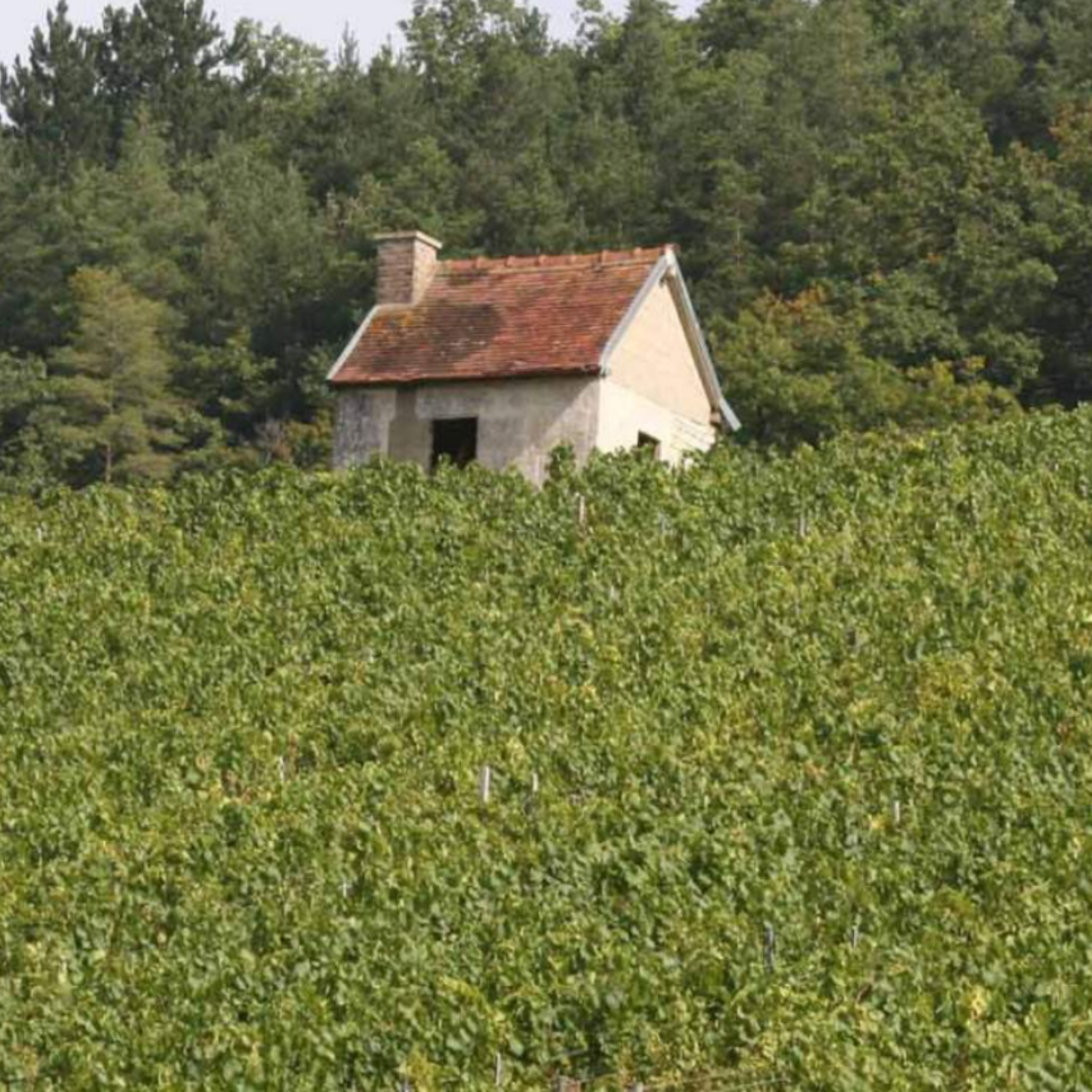 Normanby Fine Wines