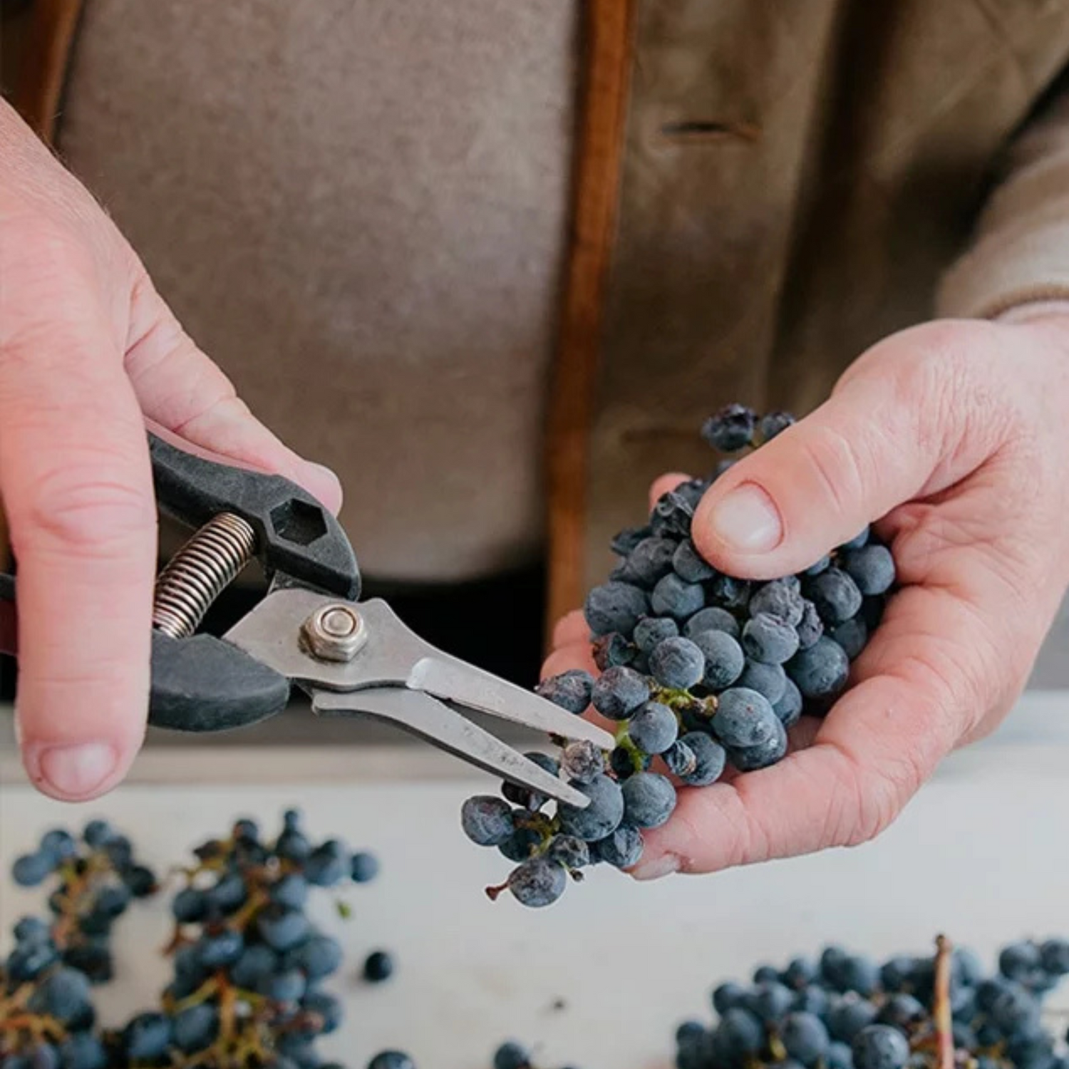 Normanby Fine Wines