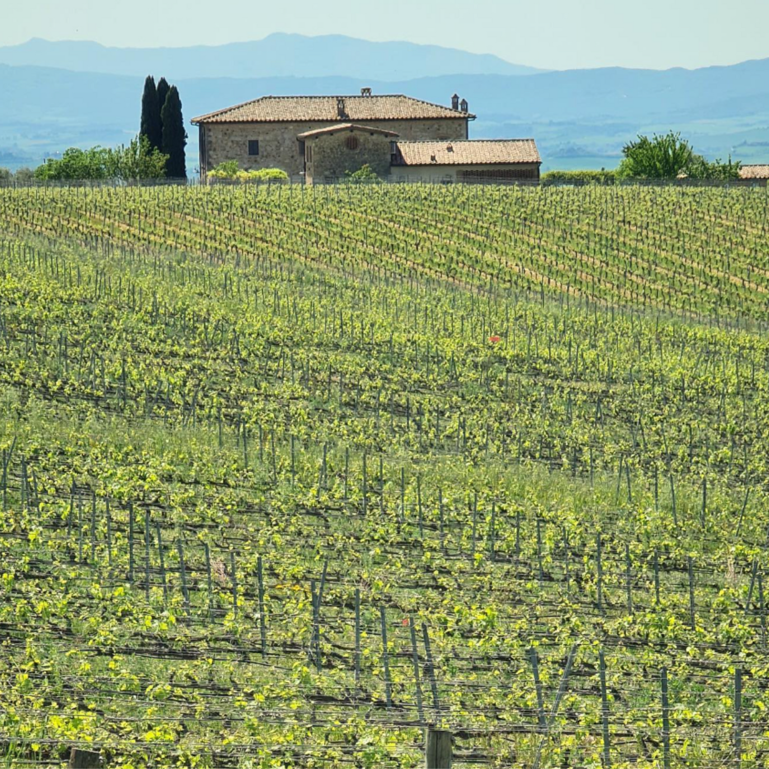 Normanby Fine Wines