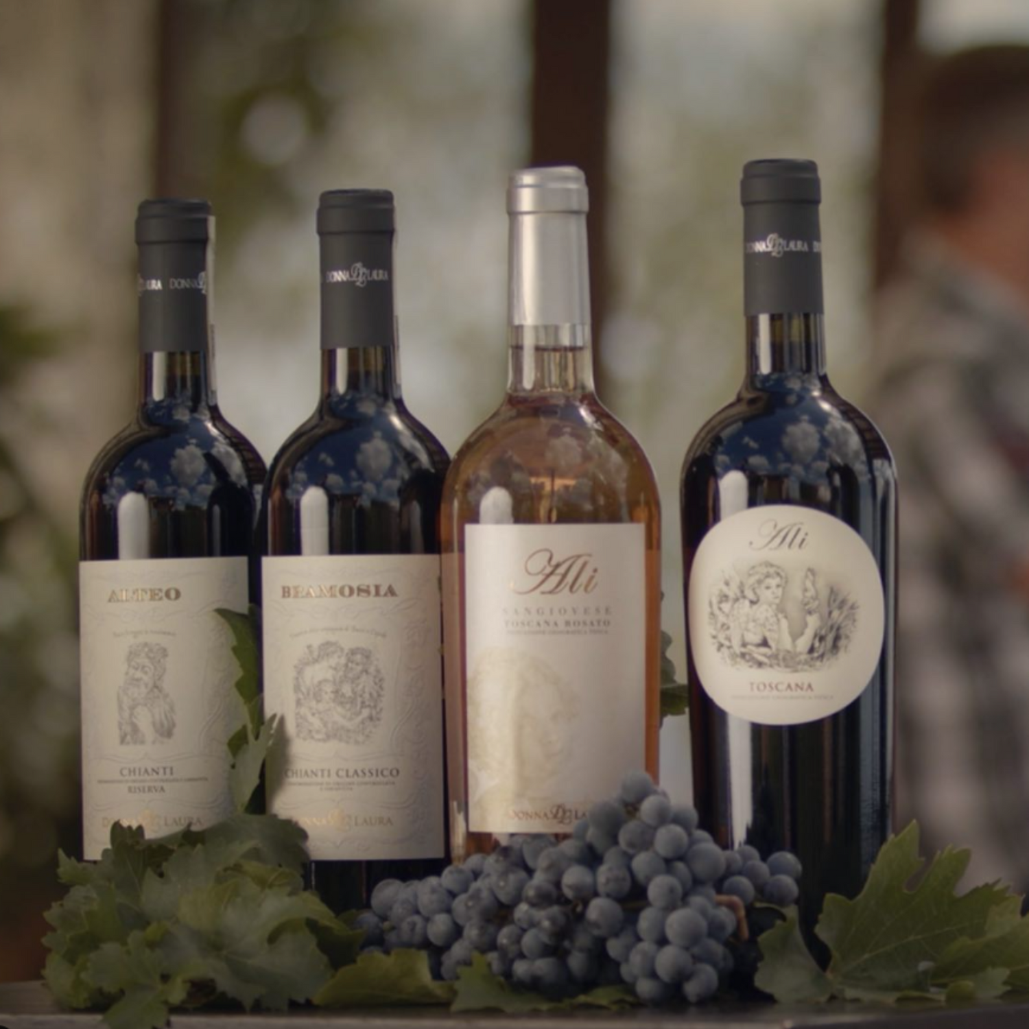 Normanby Fine Wines