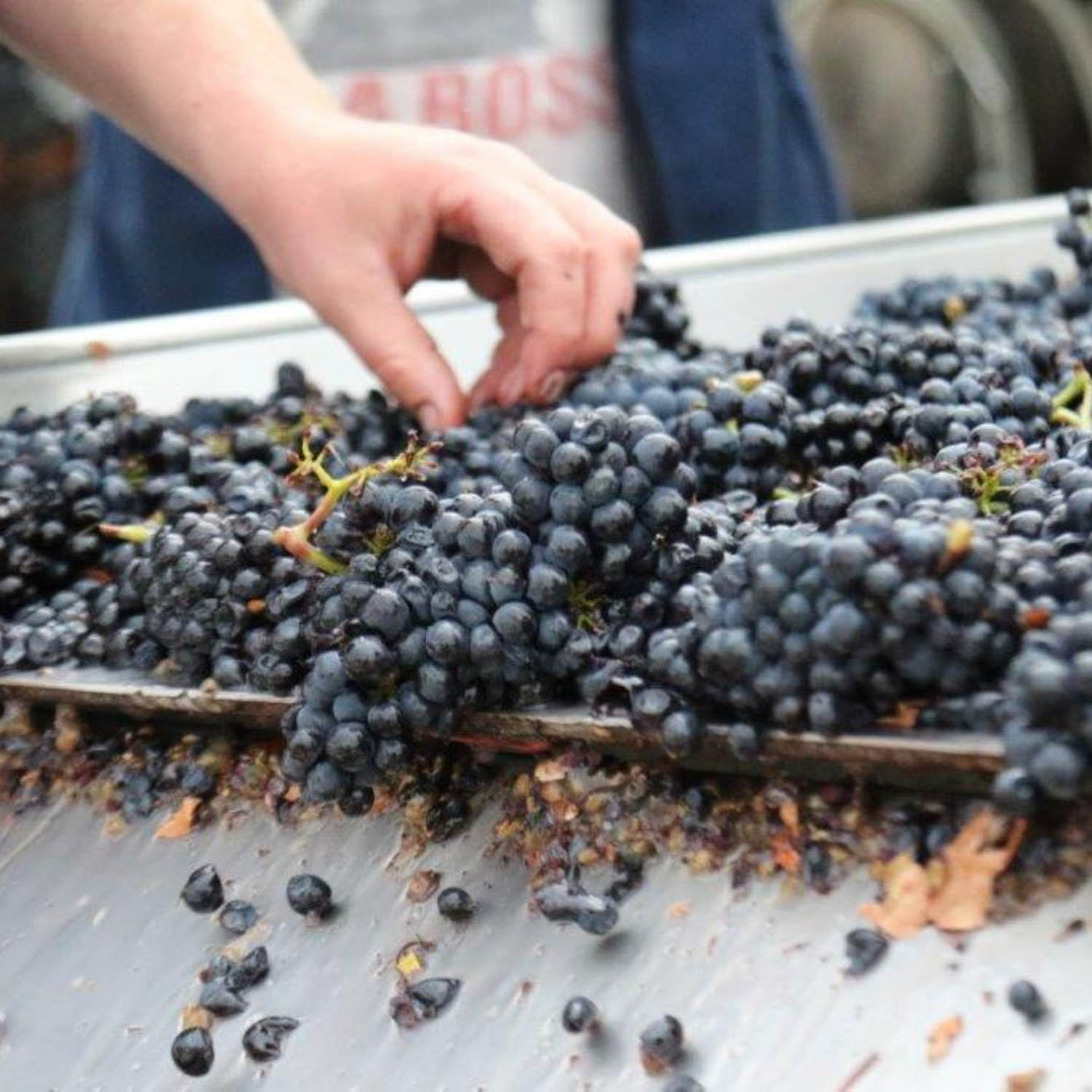 Normanby Fine Wines
