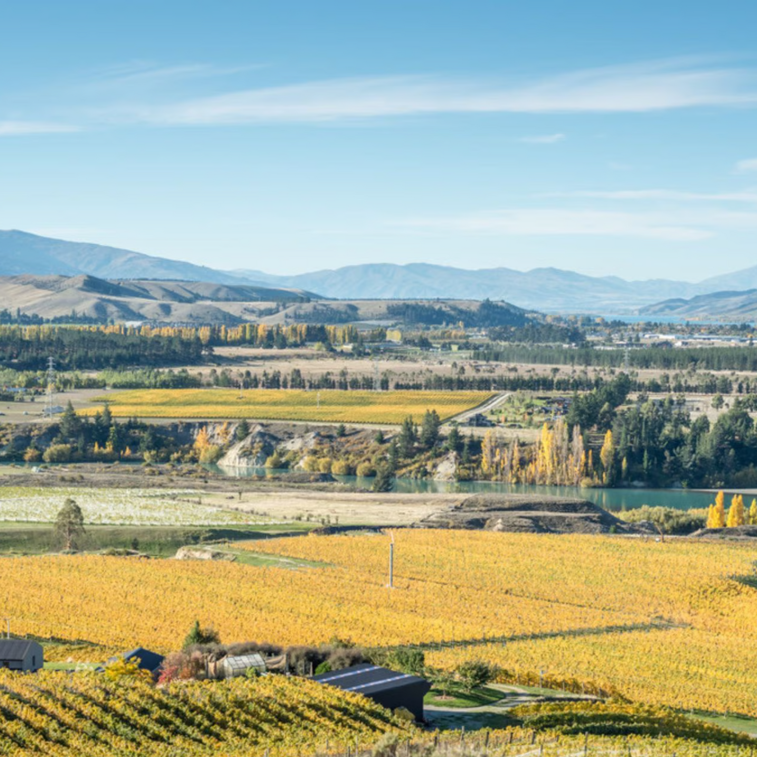 Normanby Fine Wines