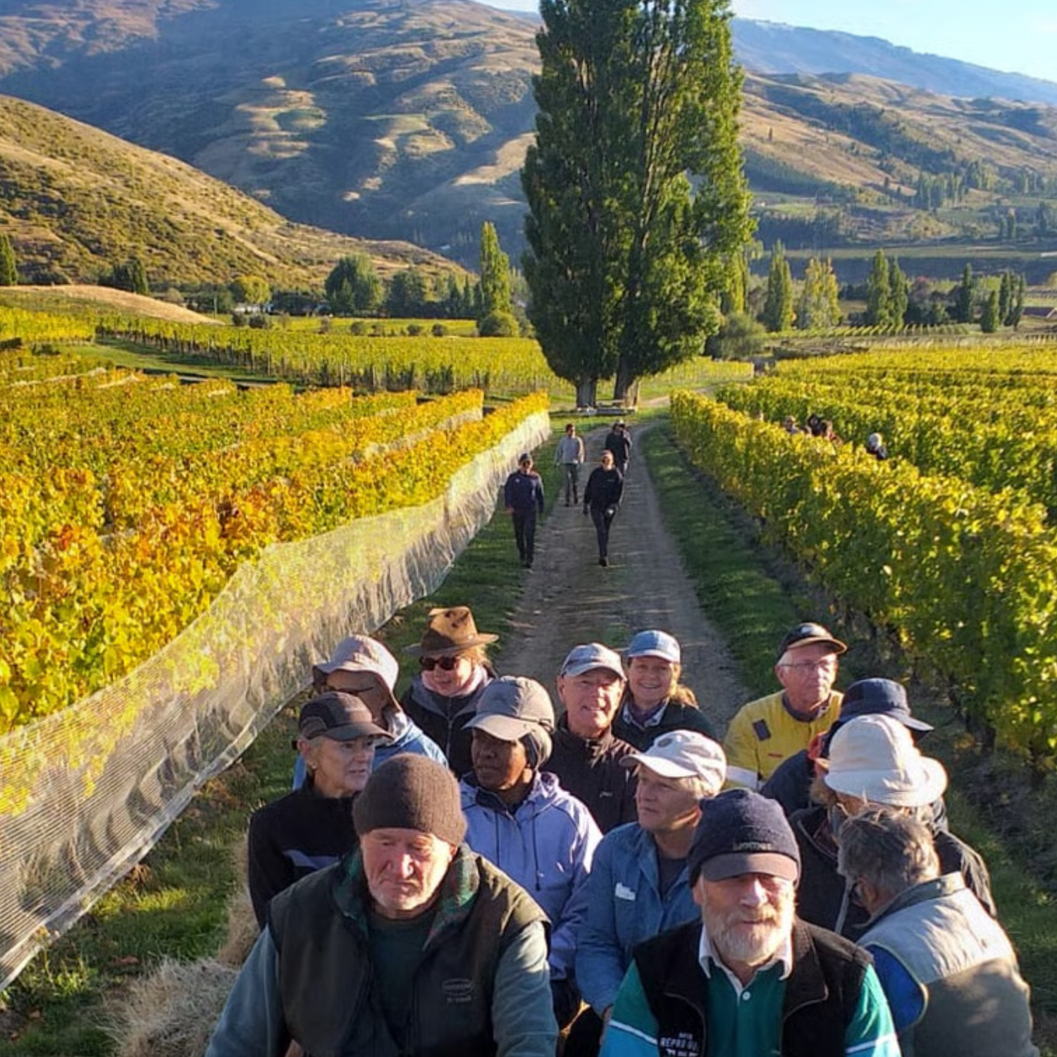 Normanby Fine Wines