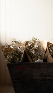 Bouquet of Dried flowers