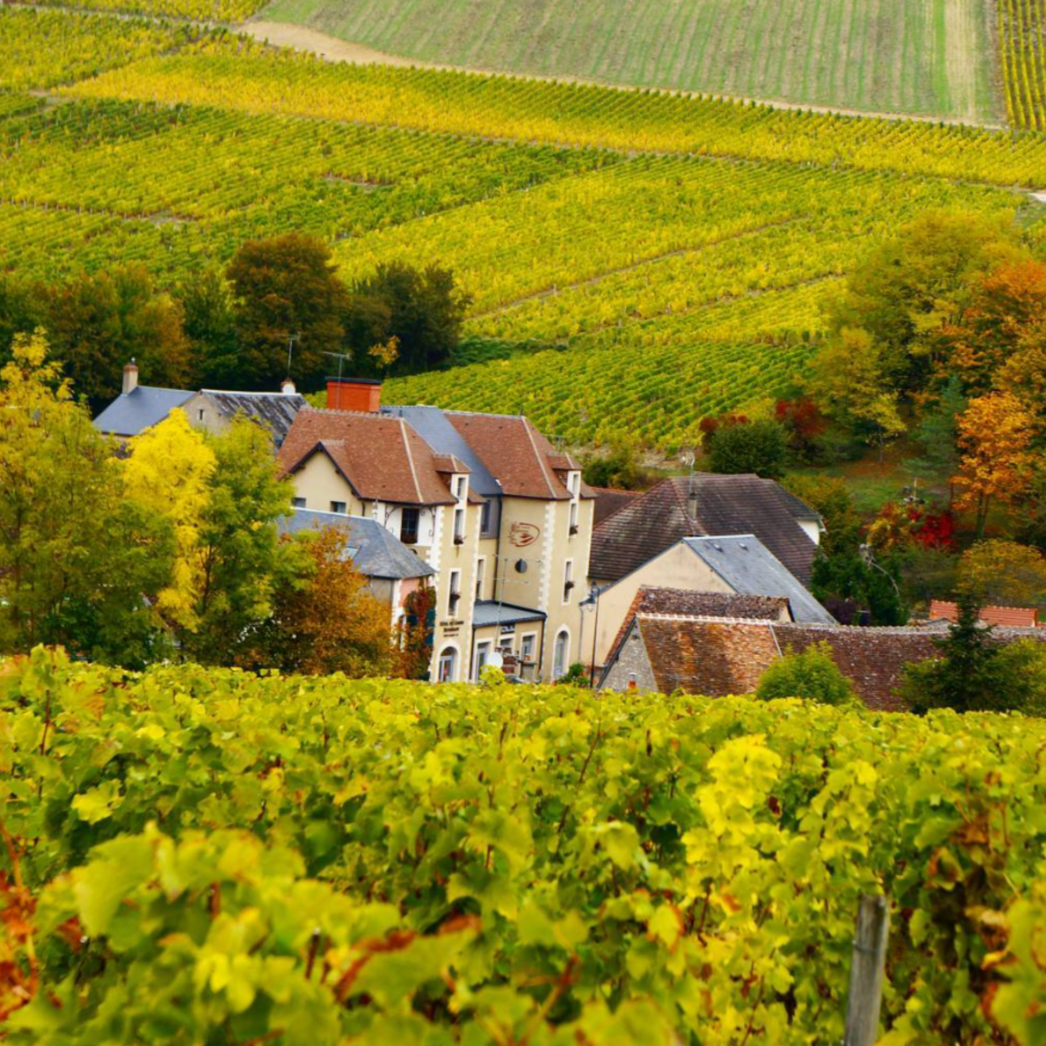 Normanby Fine Wines