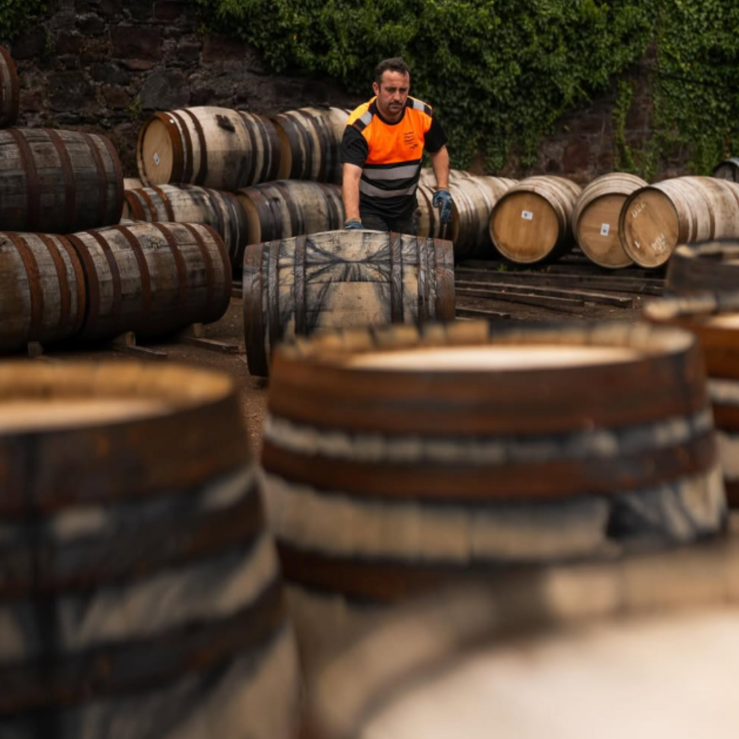Normanby Fine Wines