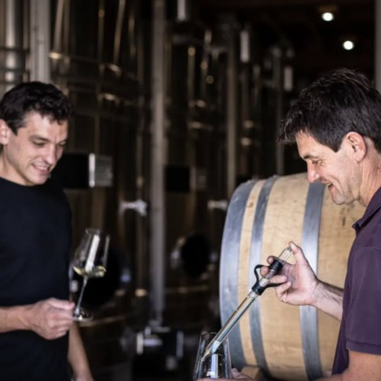 Normanby Fine Wines