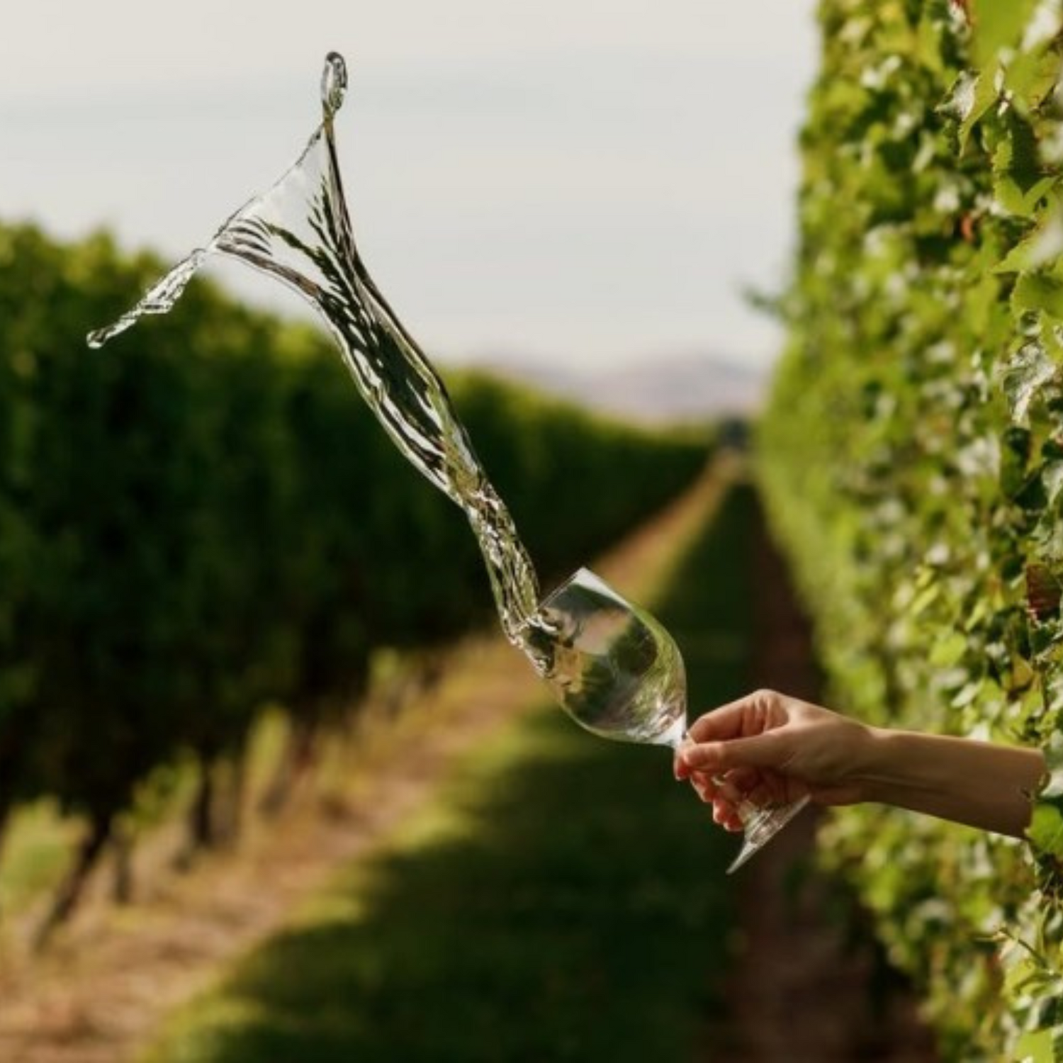 Normanby Fine Wines