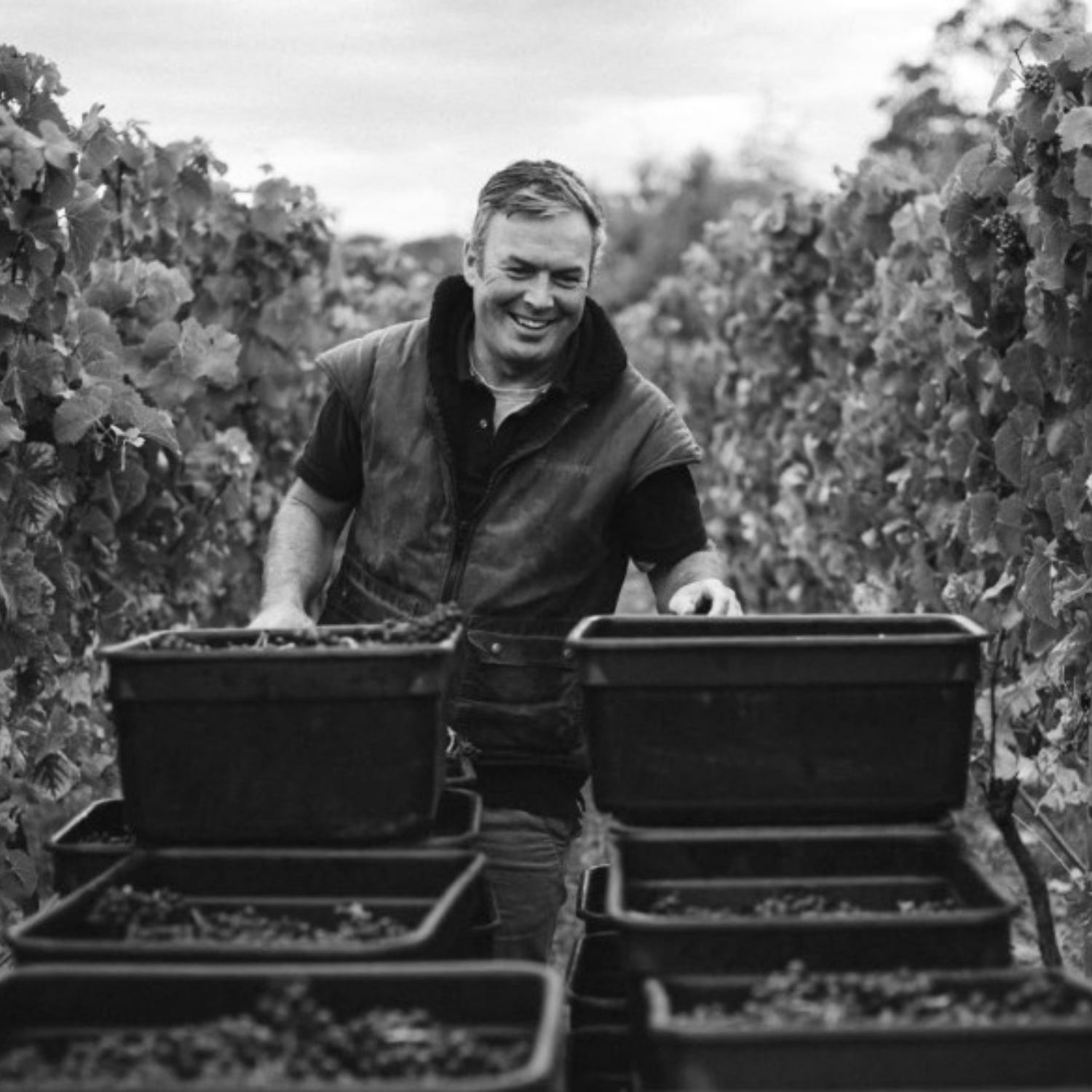 Normanby Fine Wines