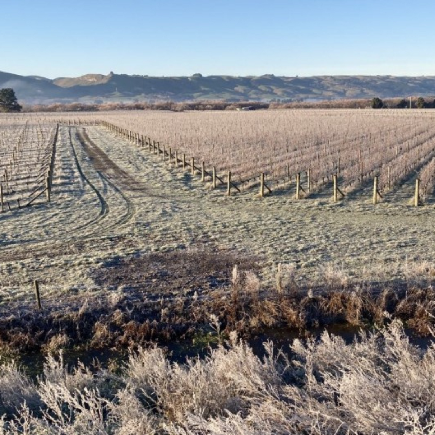 Normanby Fine Wines