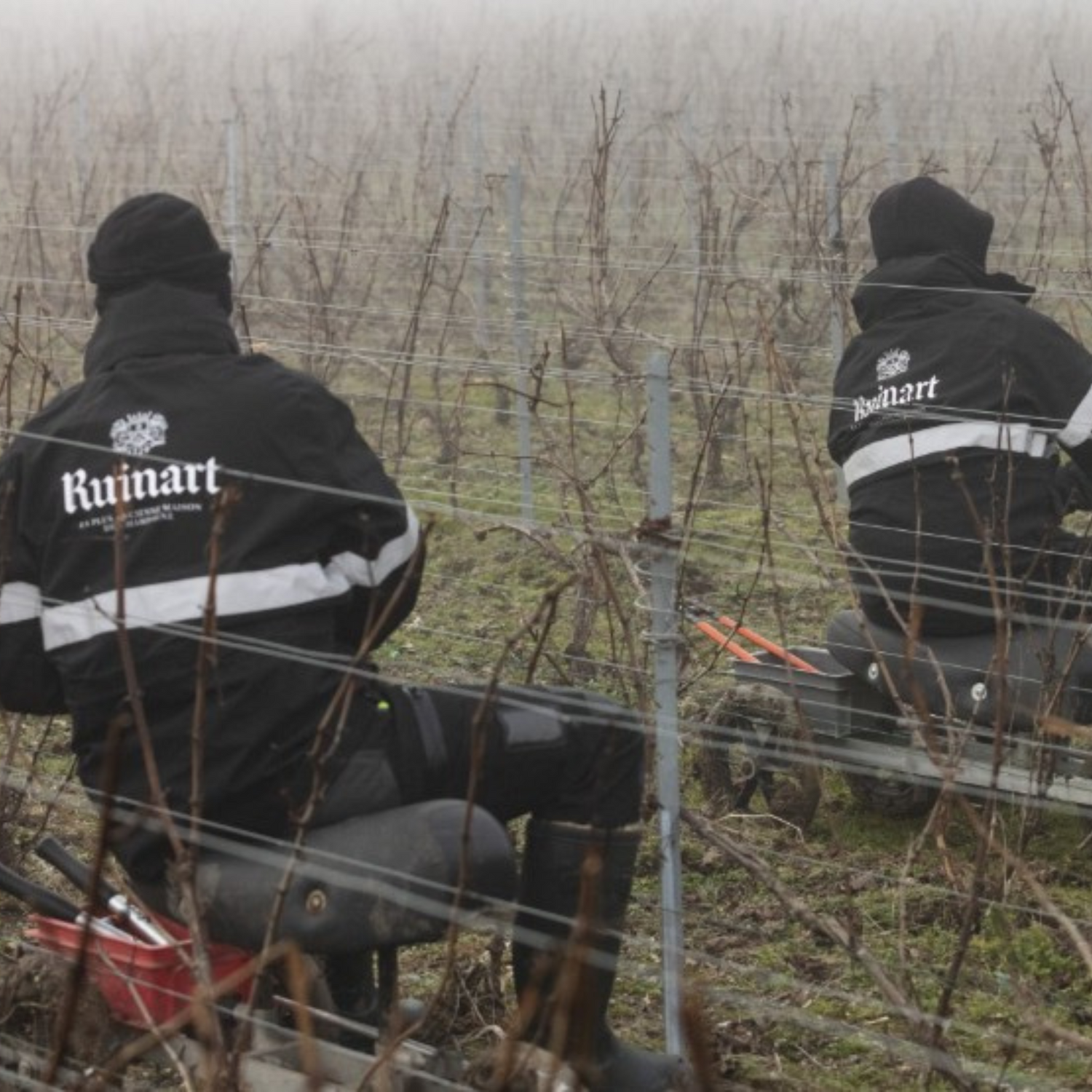 Normanby Fine Wines