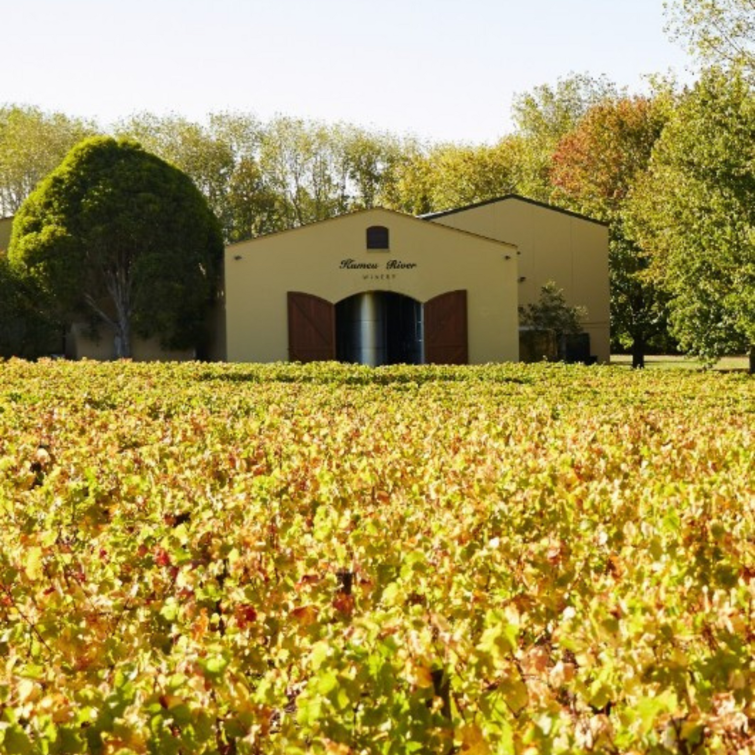 Normanby Fine Wines