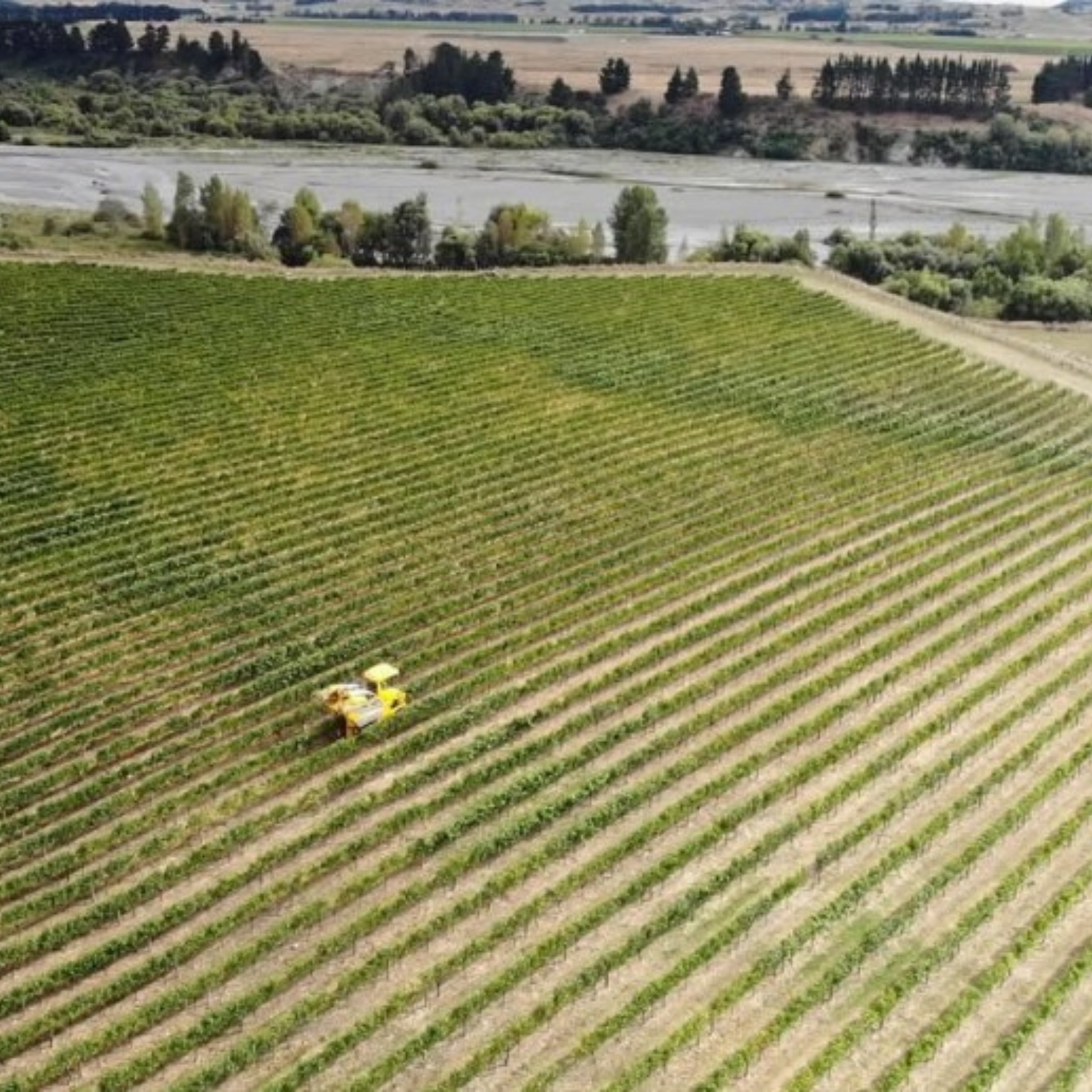 Normanby Fine Wines