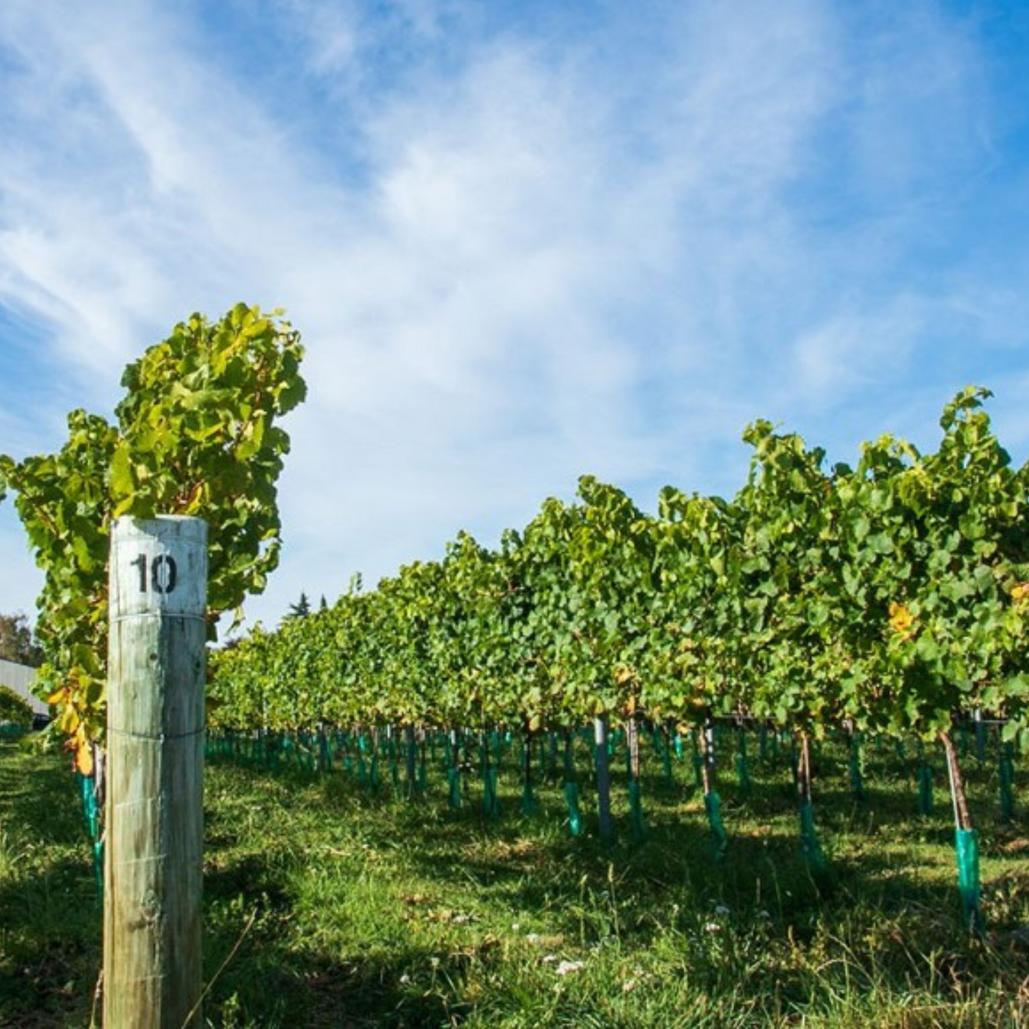 Normanby Fine Wines