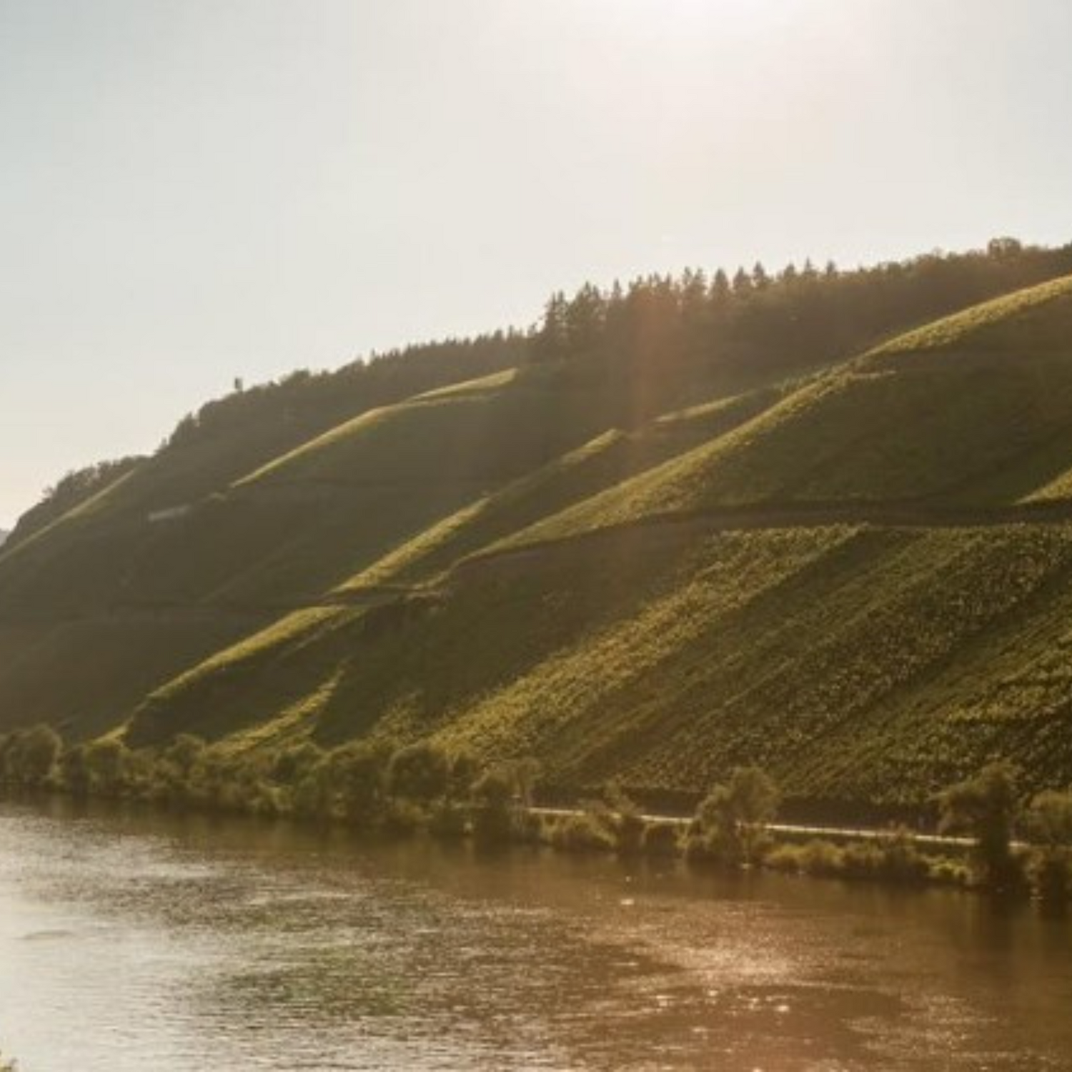 Normanby Fine Wines
