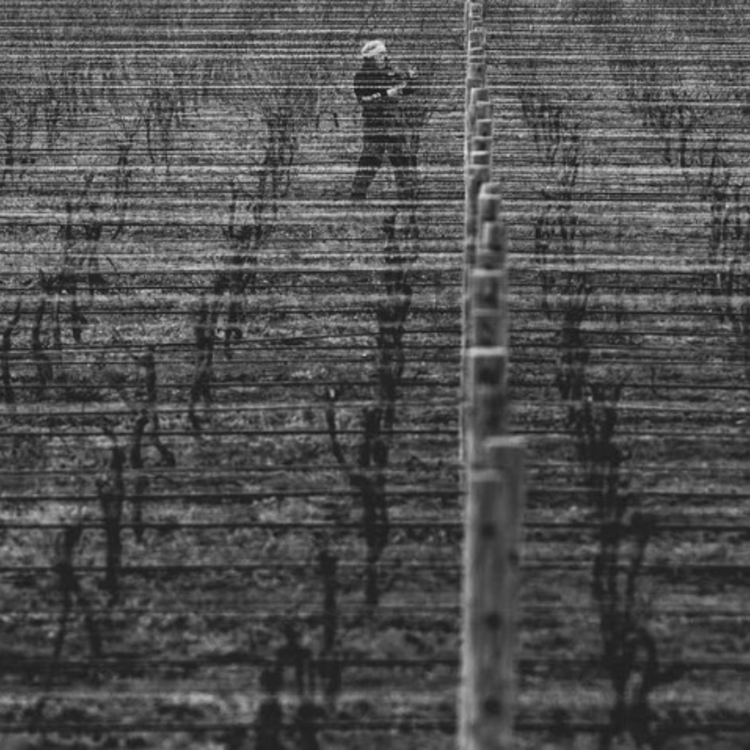Normanby Fine Wines