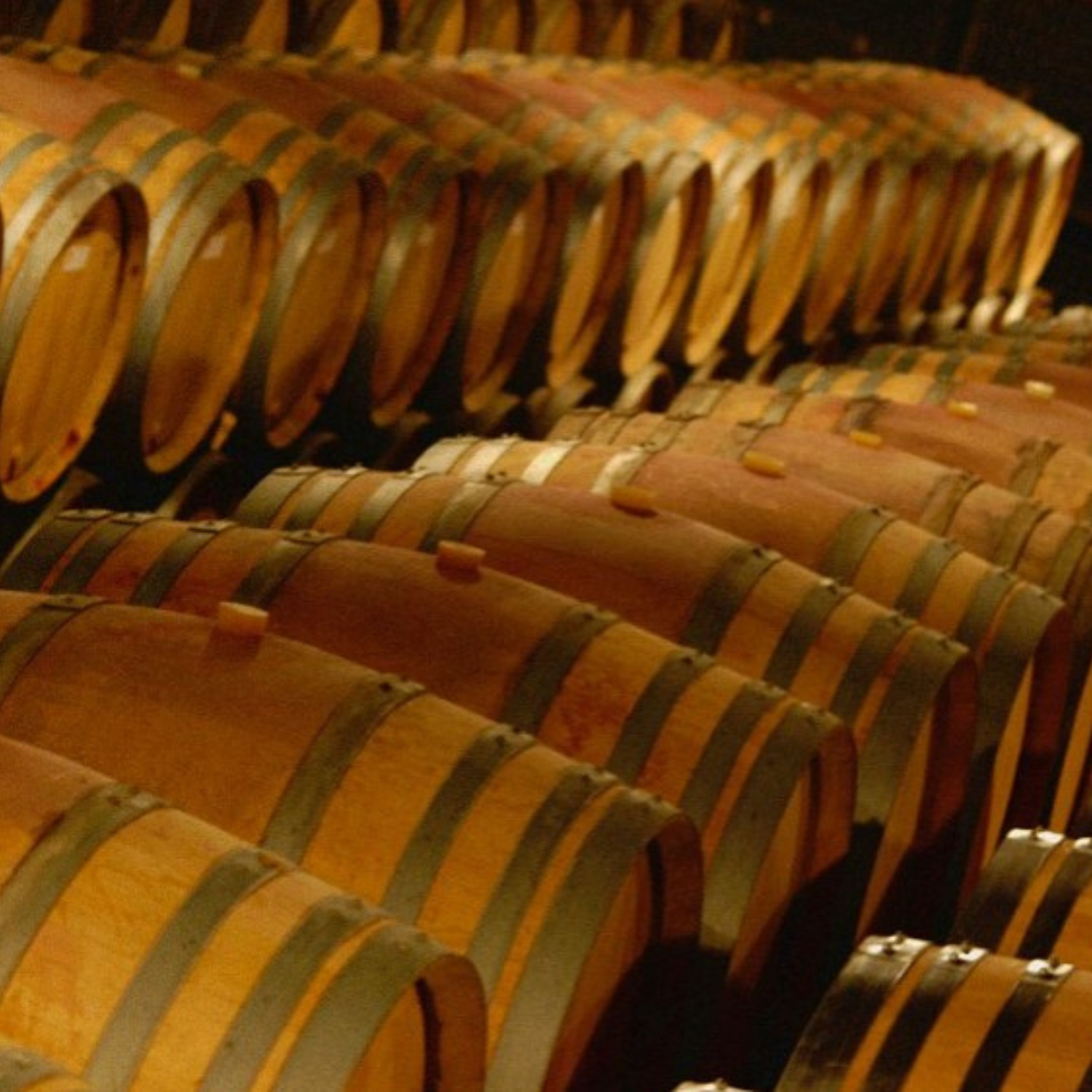 Normanby Fine Wines