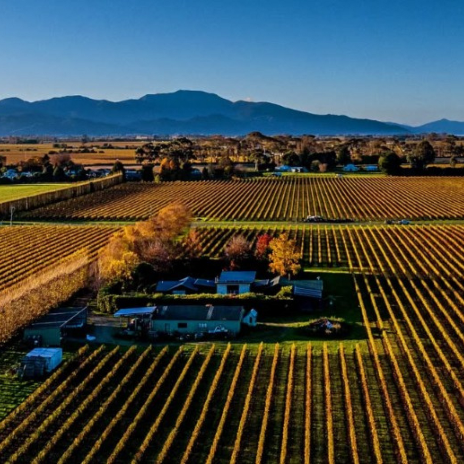 Normanby Fine Wines