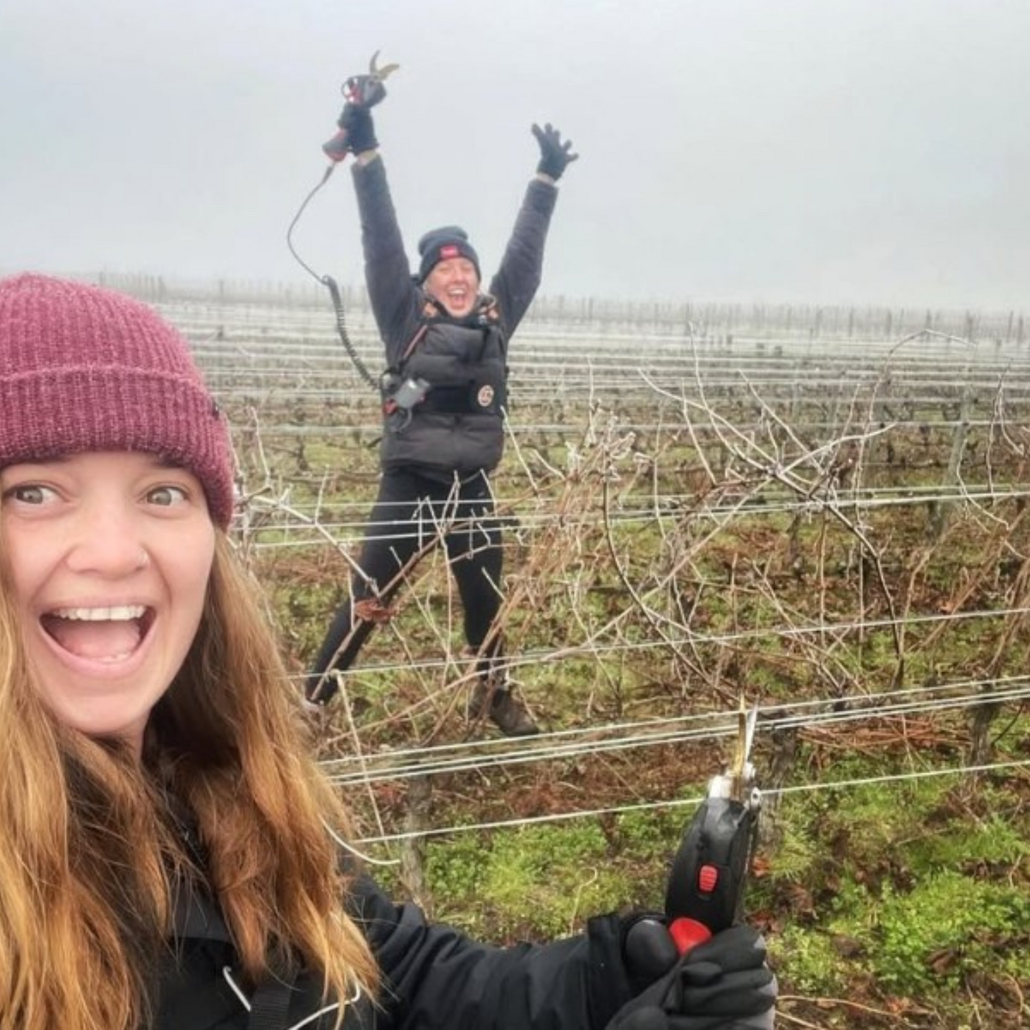 Normanby Fine Wines