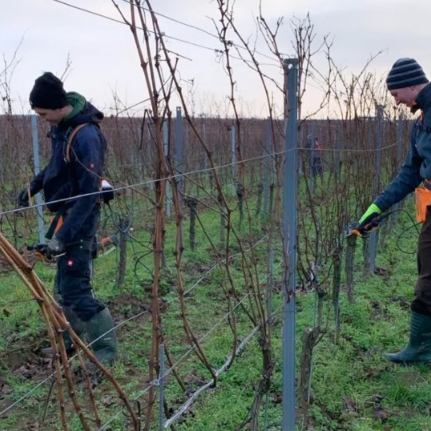 Normanby Fine Wines