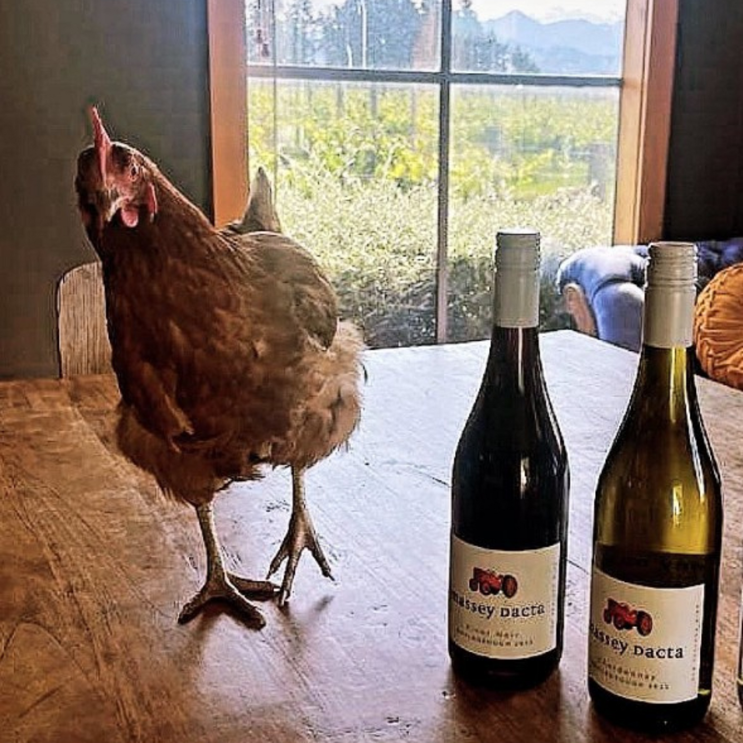Normanby Fine Wines