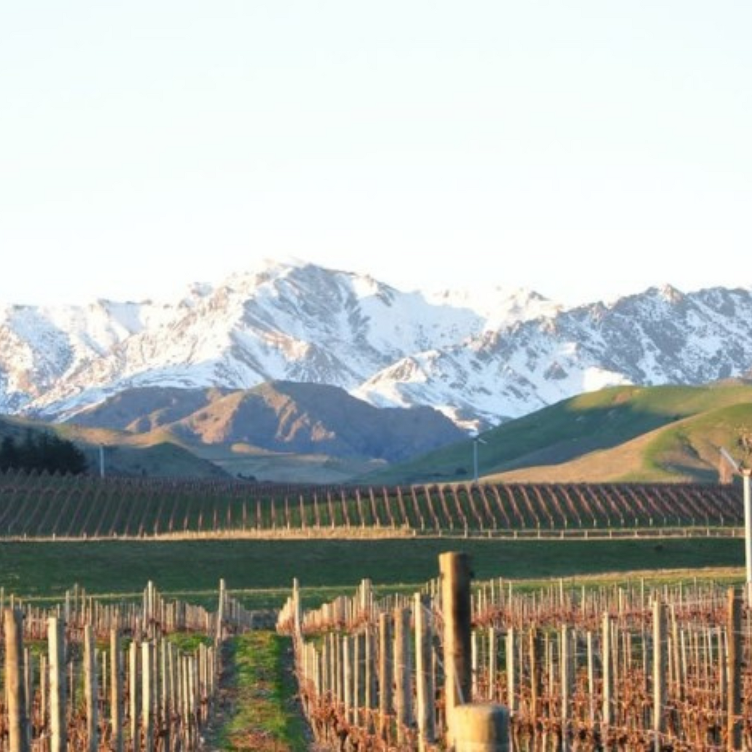Normanby Fine Wines