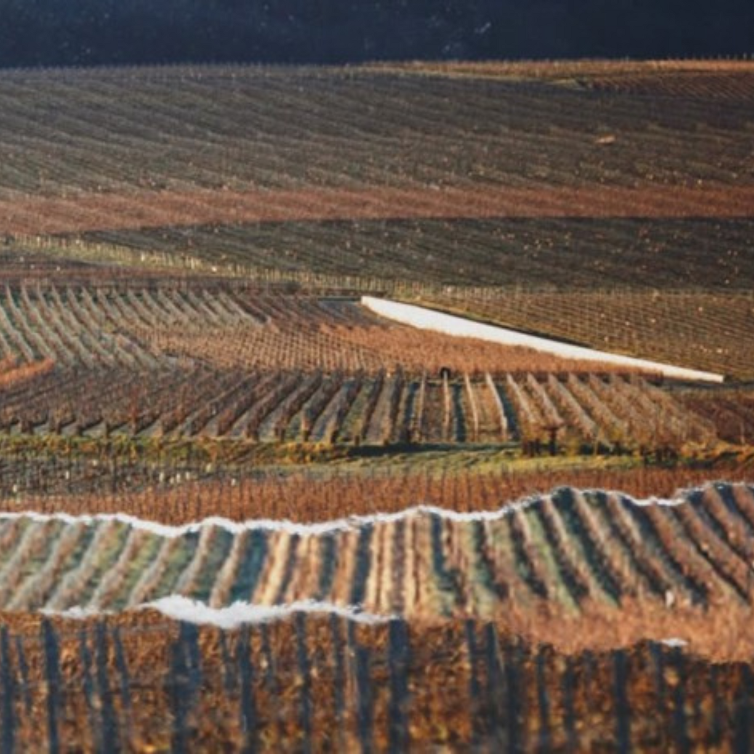 Normanby Fine Wines