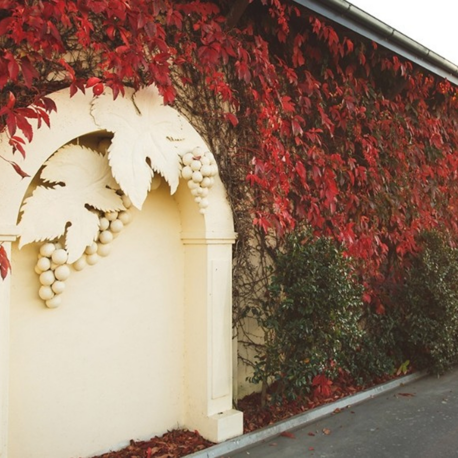 Normanby Fine Wines
