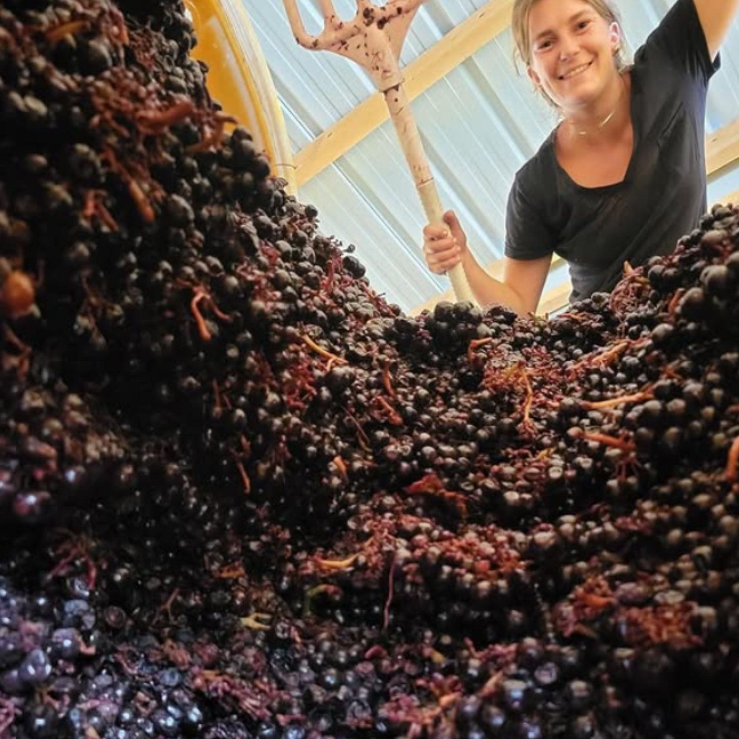 Normanby Fine Wines