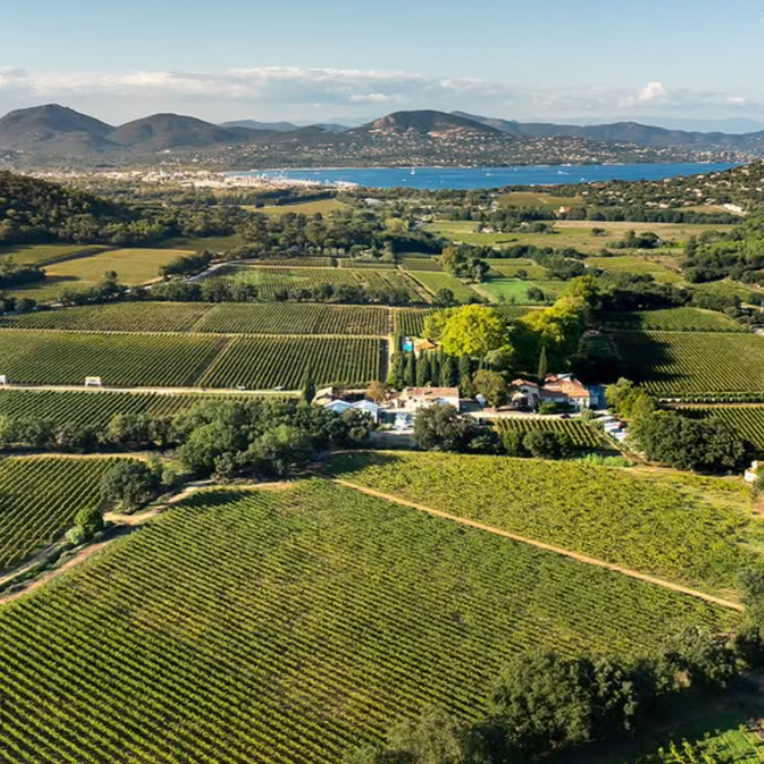 Normanby Fine Wines