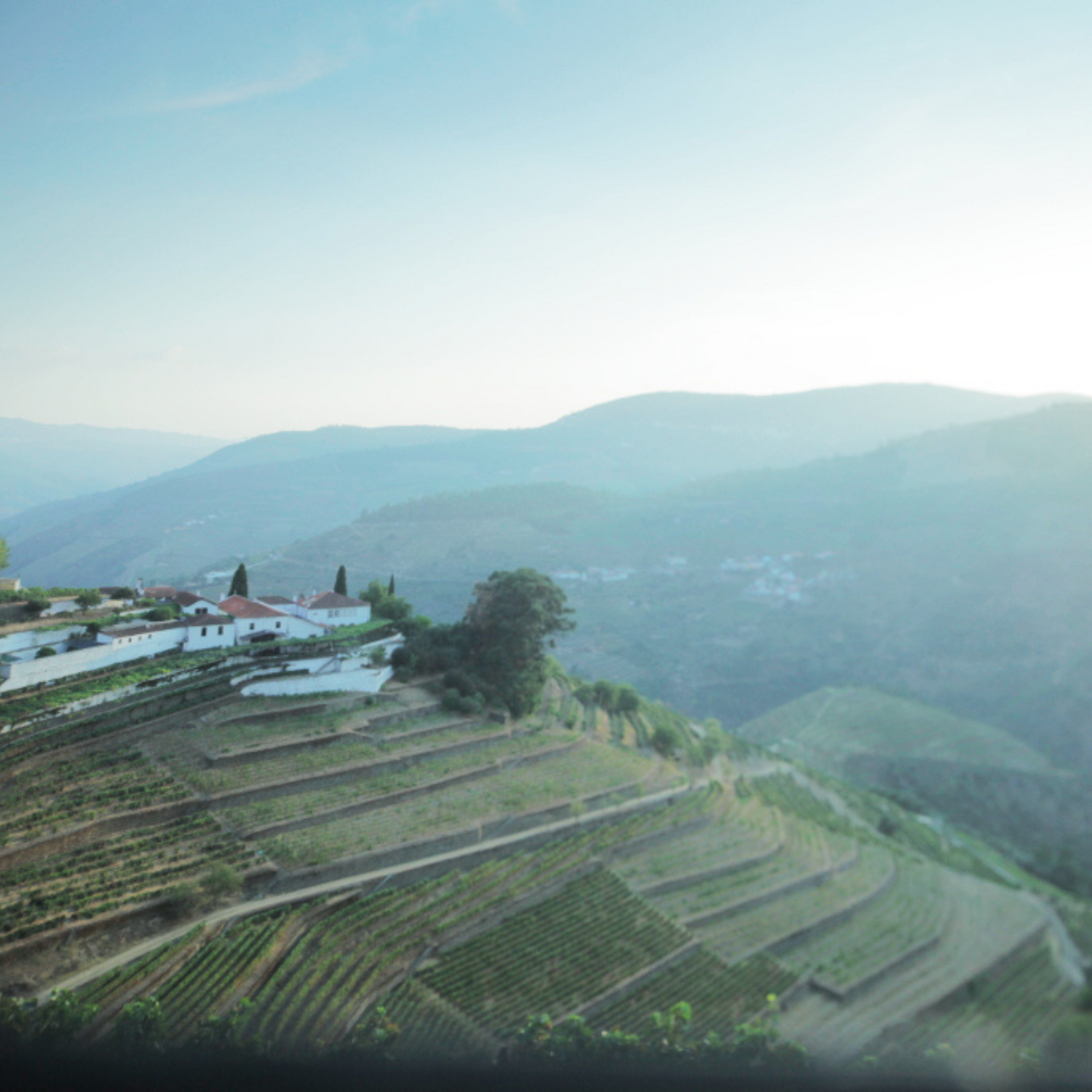 Normanby Fine Wines