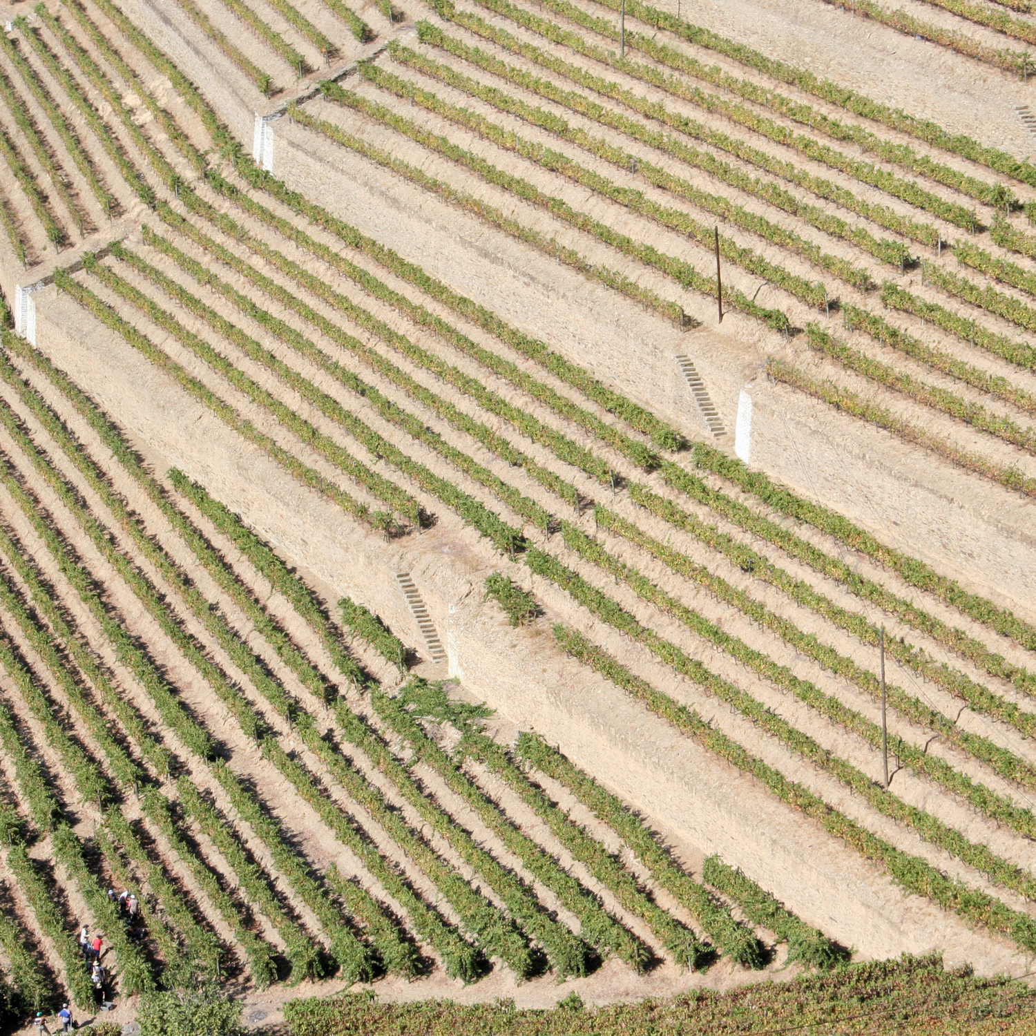 Normanby Fine Wines