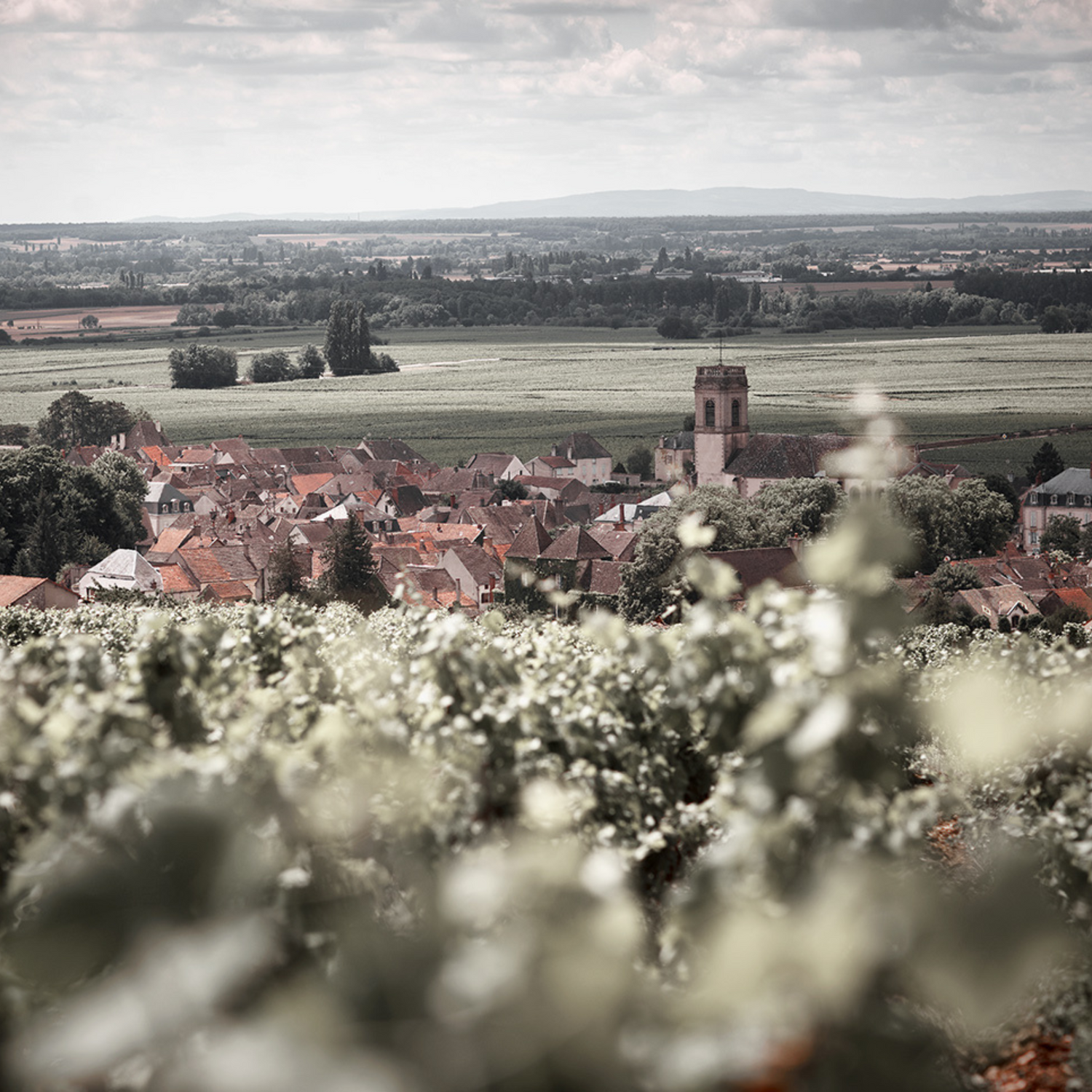 Normanby Fine Wines