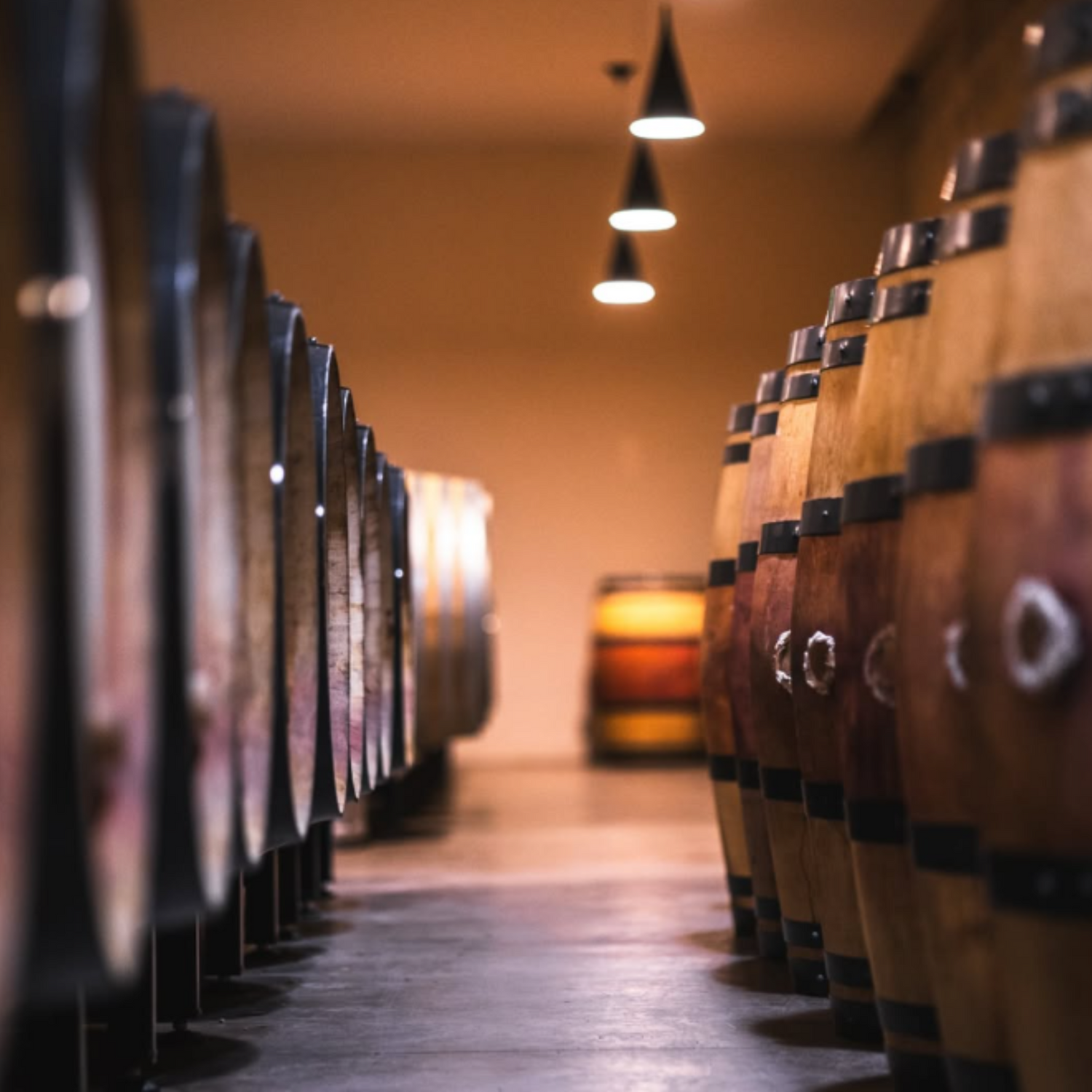 Normanby Fine Wines