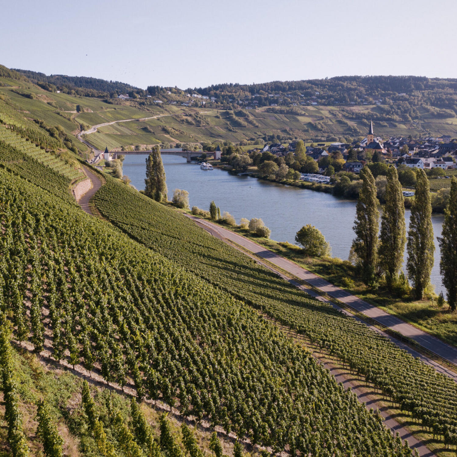 Normanby Fine Wines