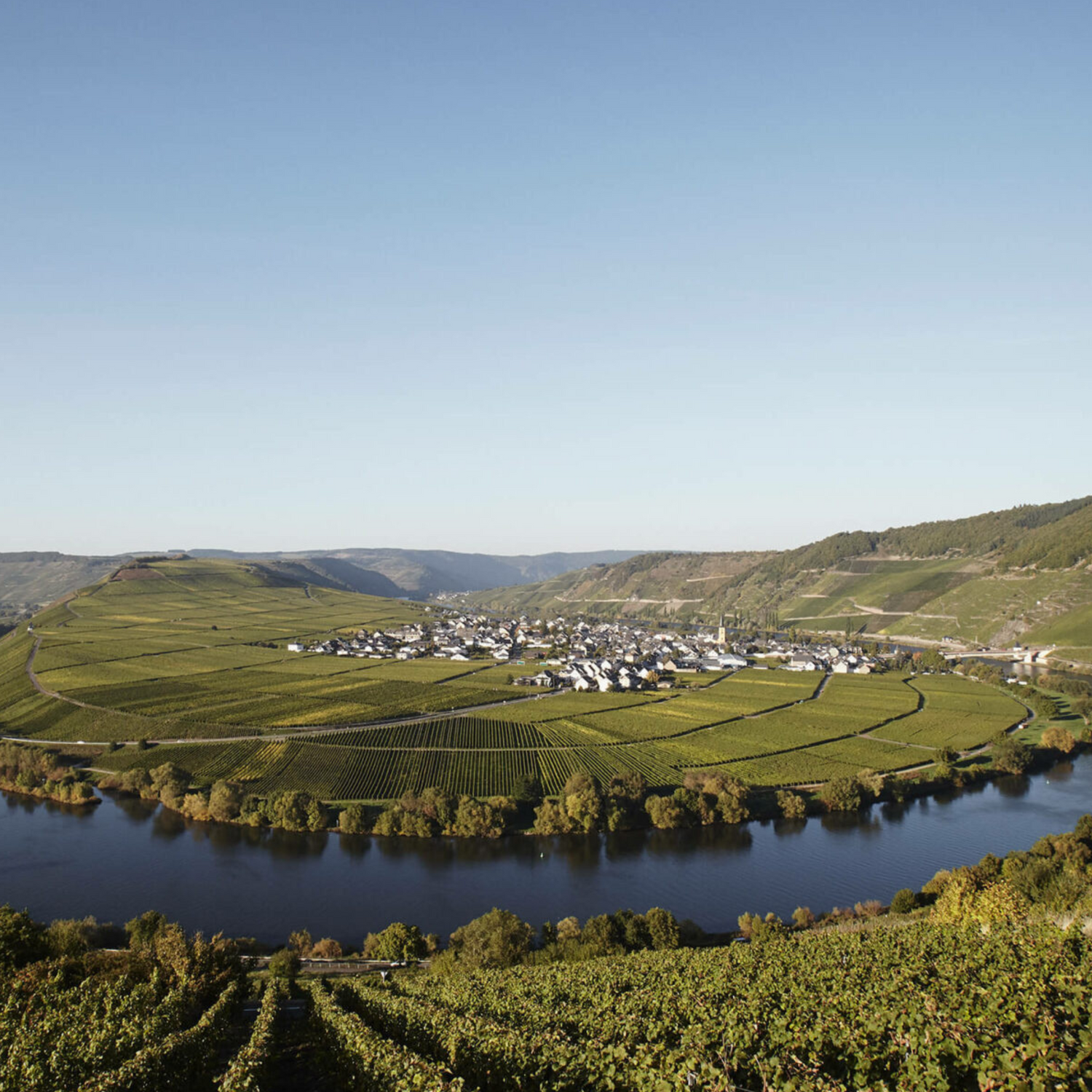 Normanby Fine Wines