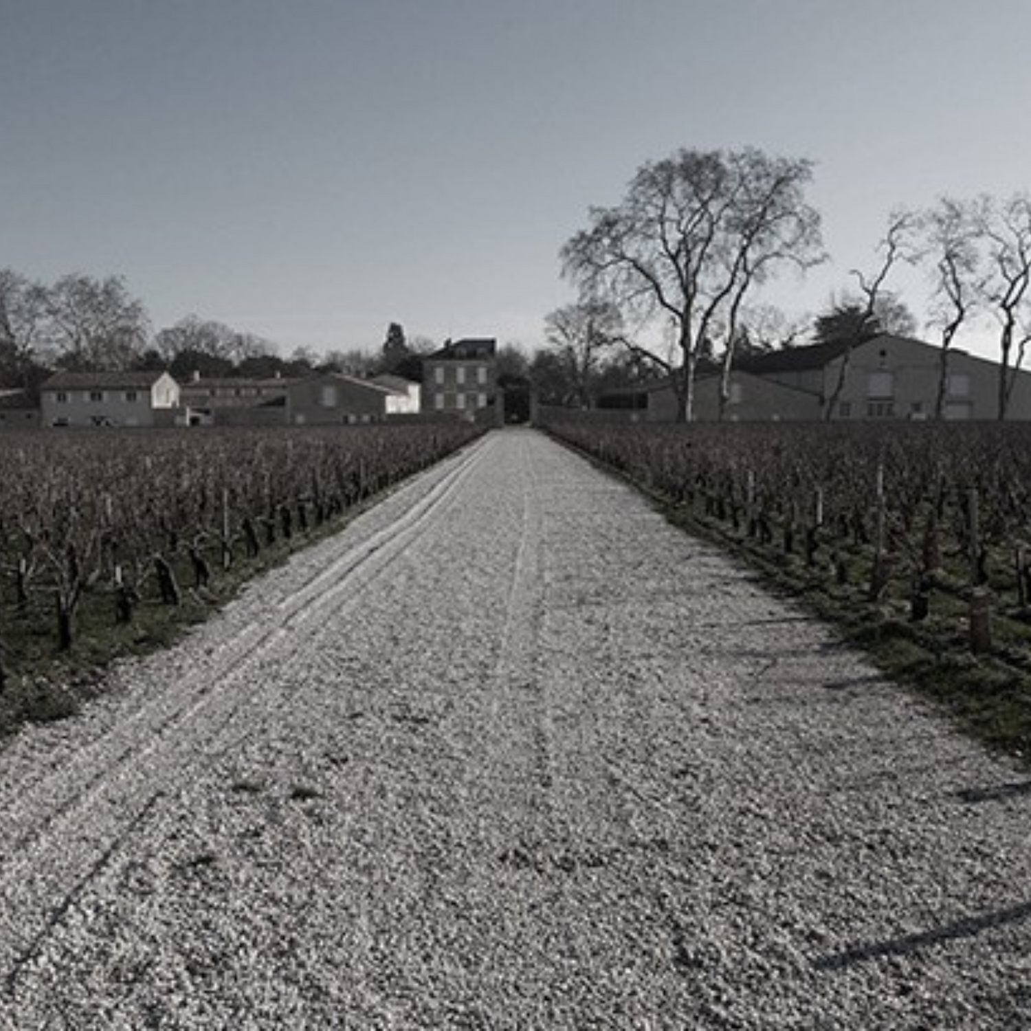 Normanby Fine Wines