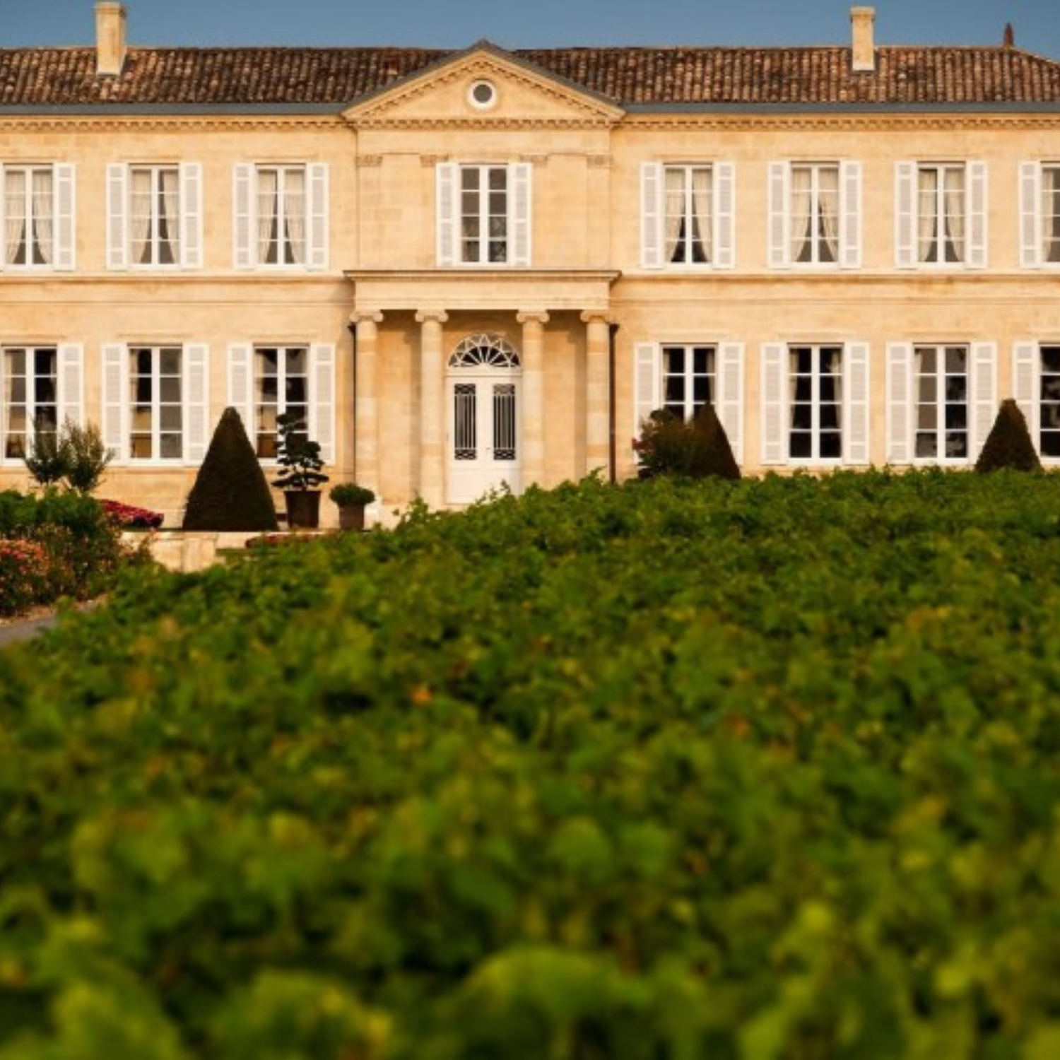 Normanby Fine Wines