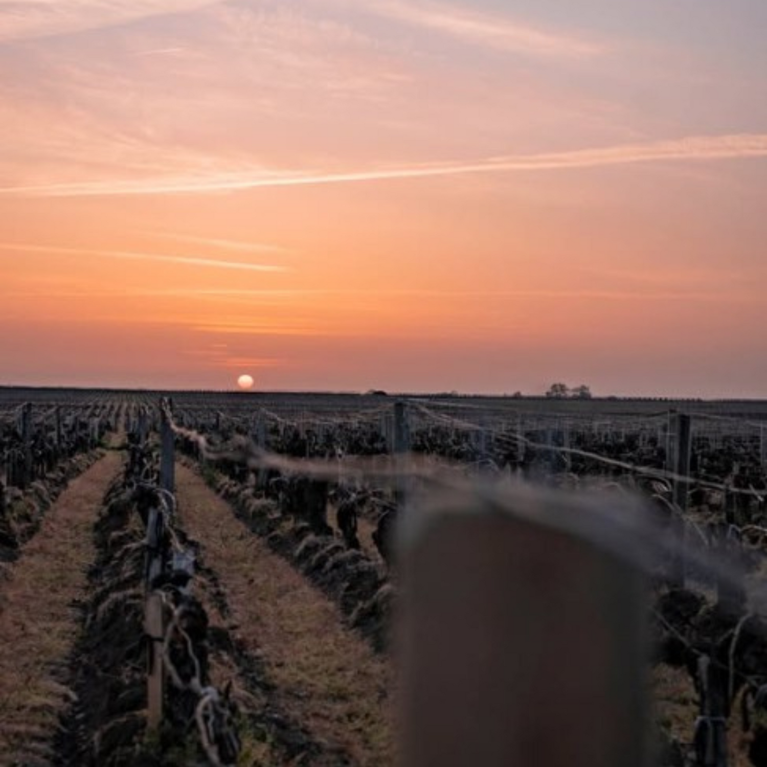 Normanby Fine Wines