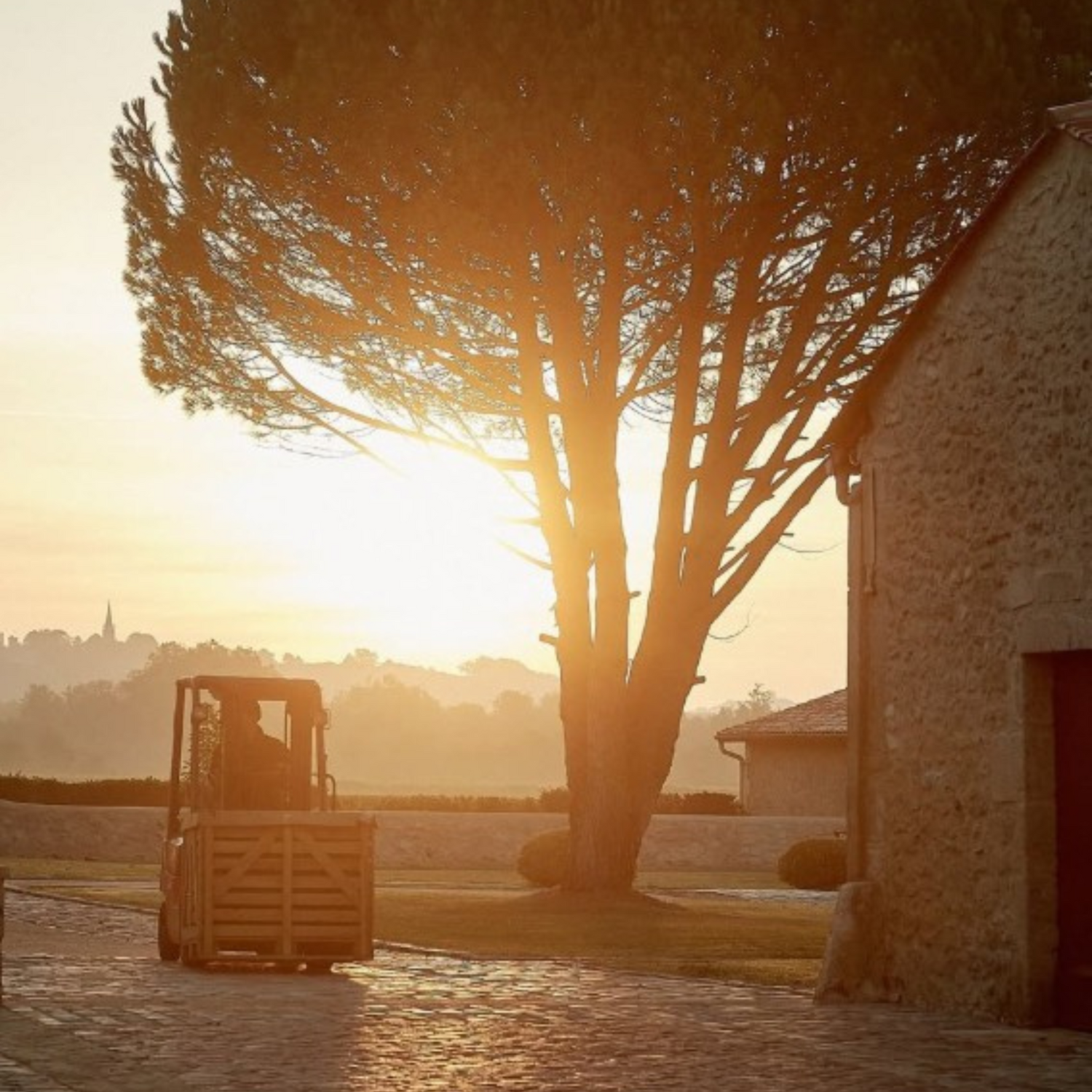 Normanby Fine Wines