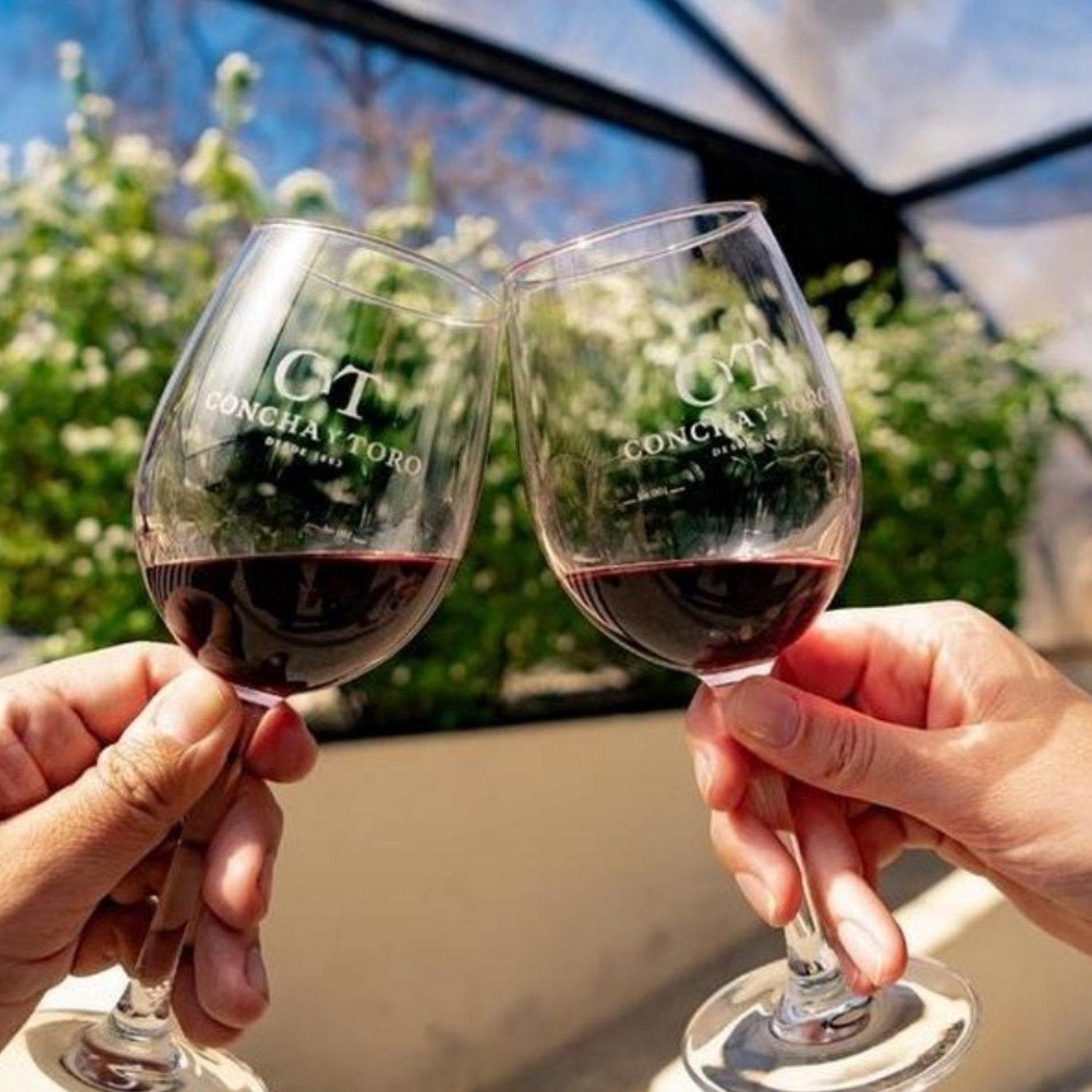 Normanby Fine Wines