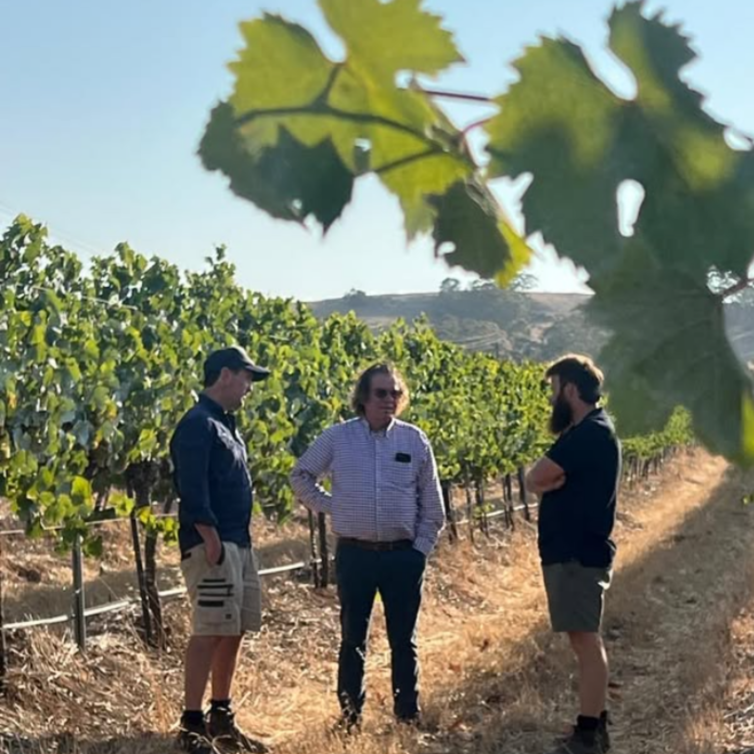 Normanby Fine Wines