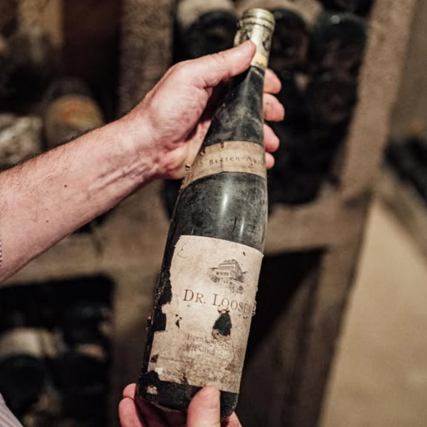 Normanby Fine Wines