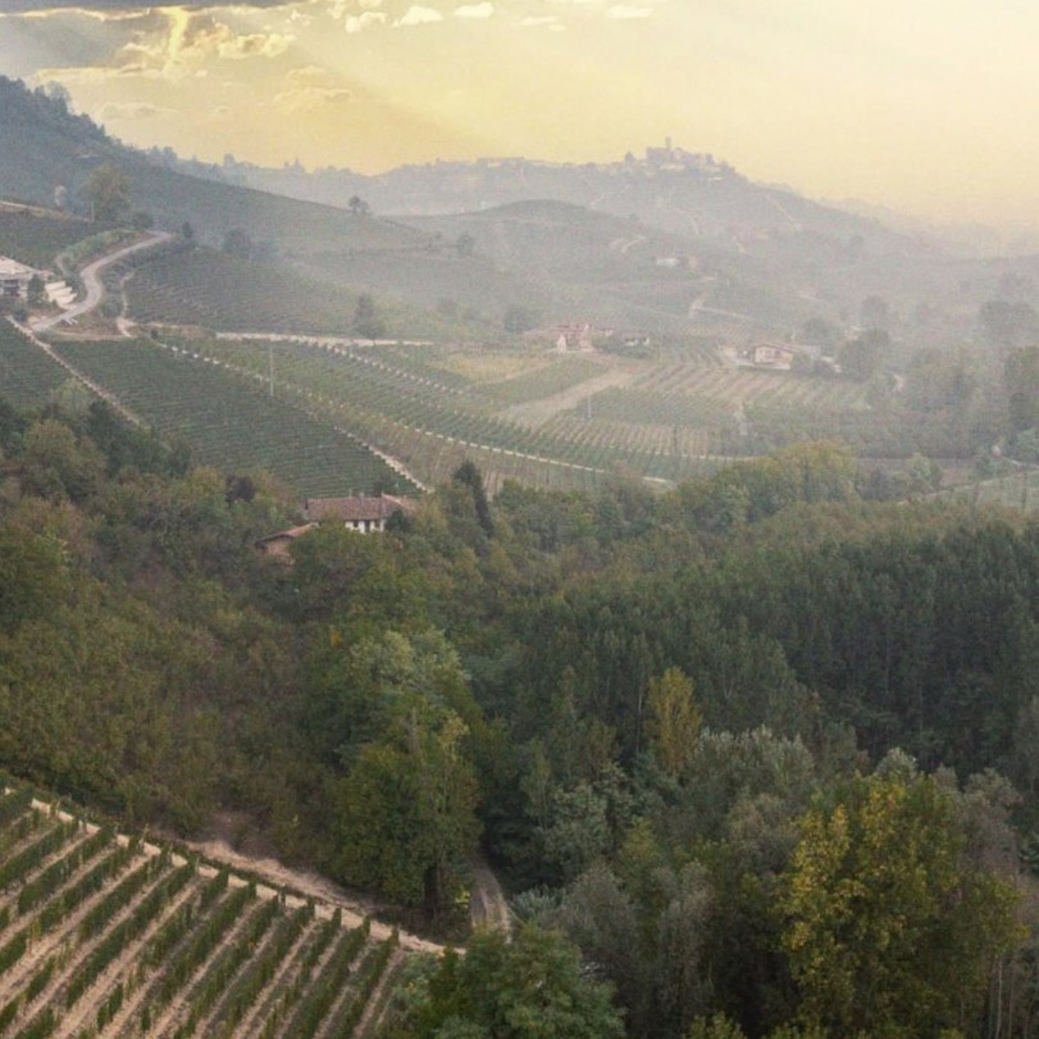 Normanby Fine Wines