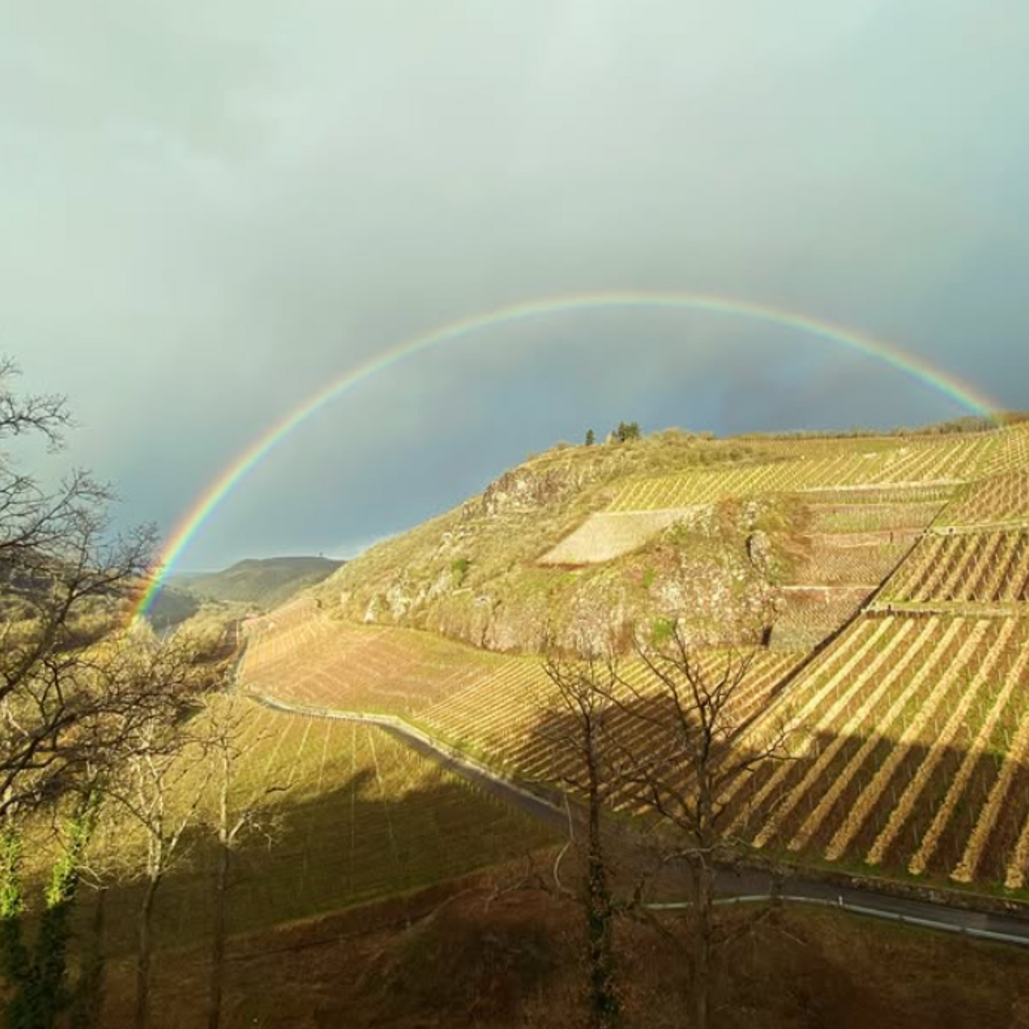 Normanby Fine Wines