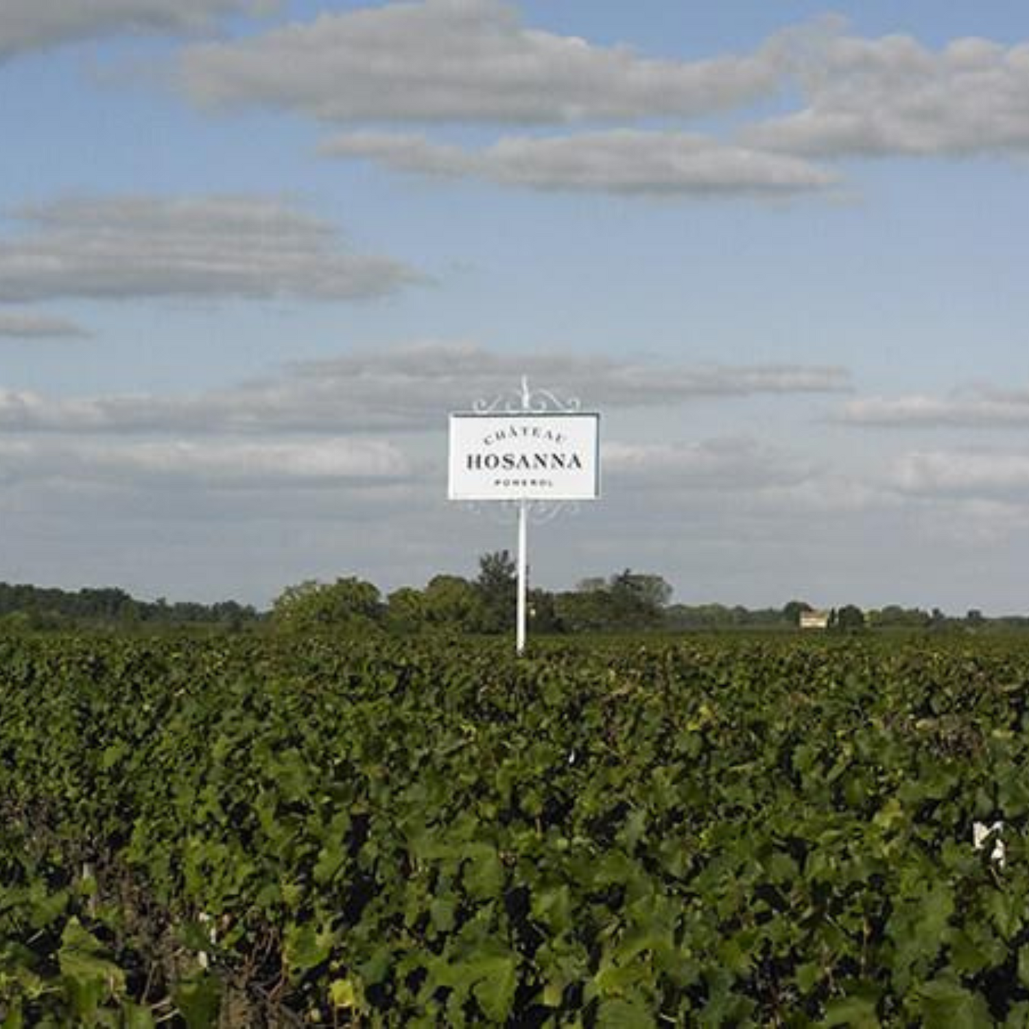 Normanby Fine Wines