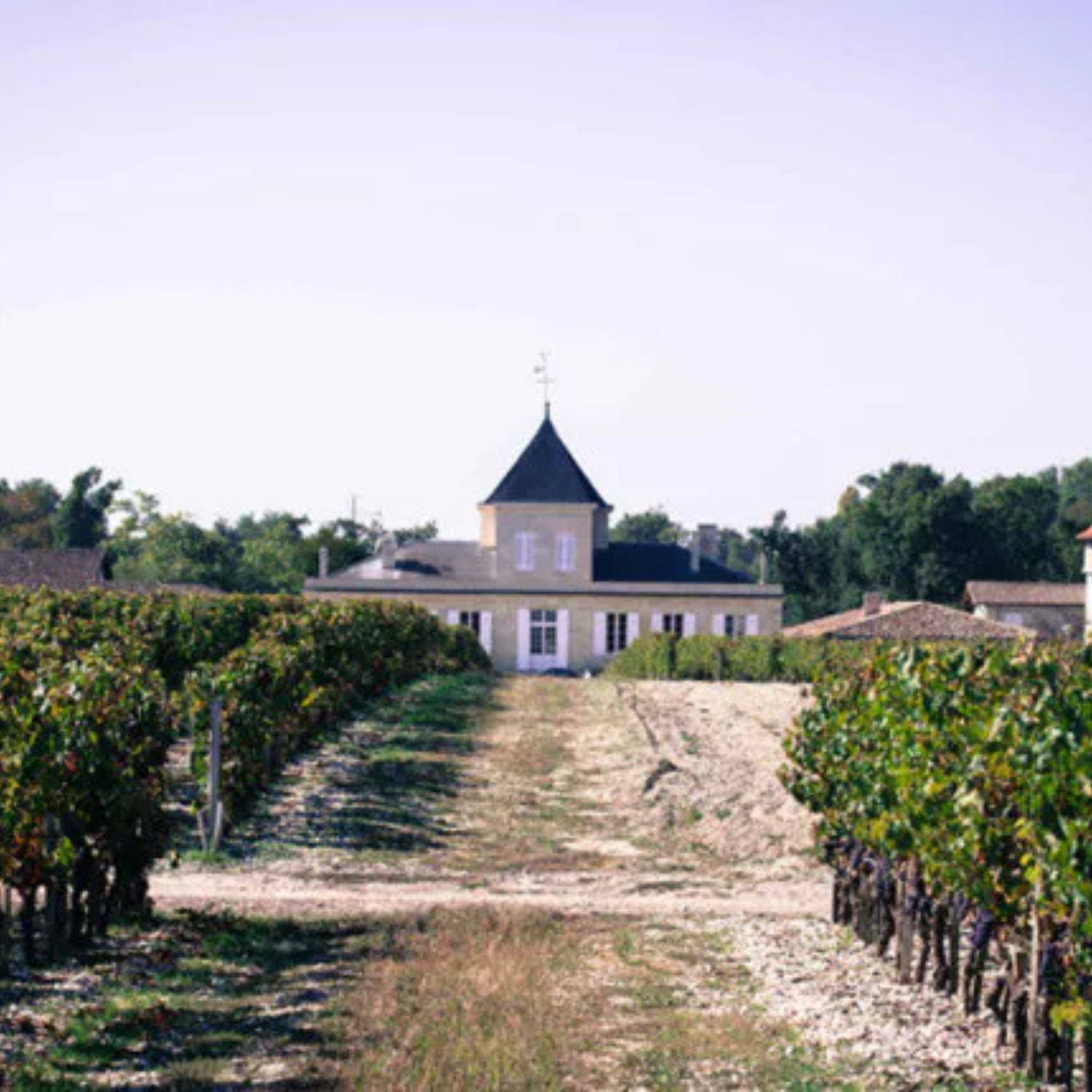 Normanby Fine Wines