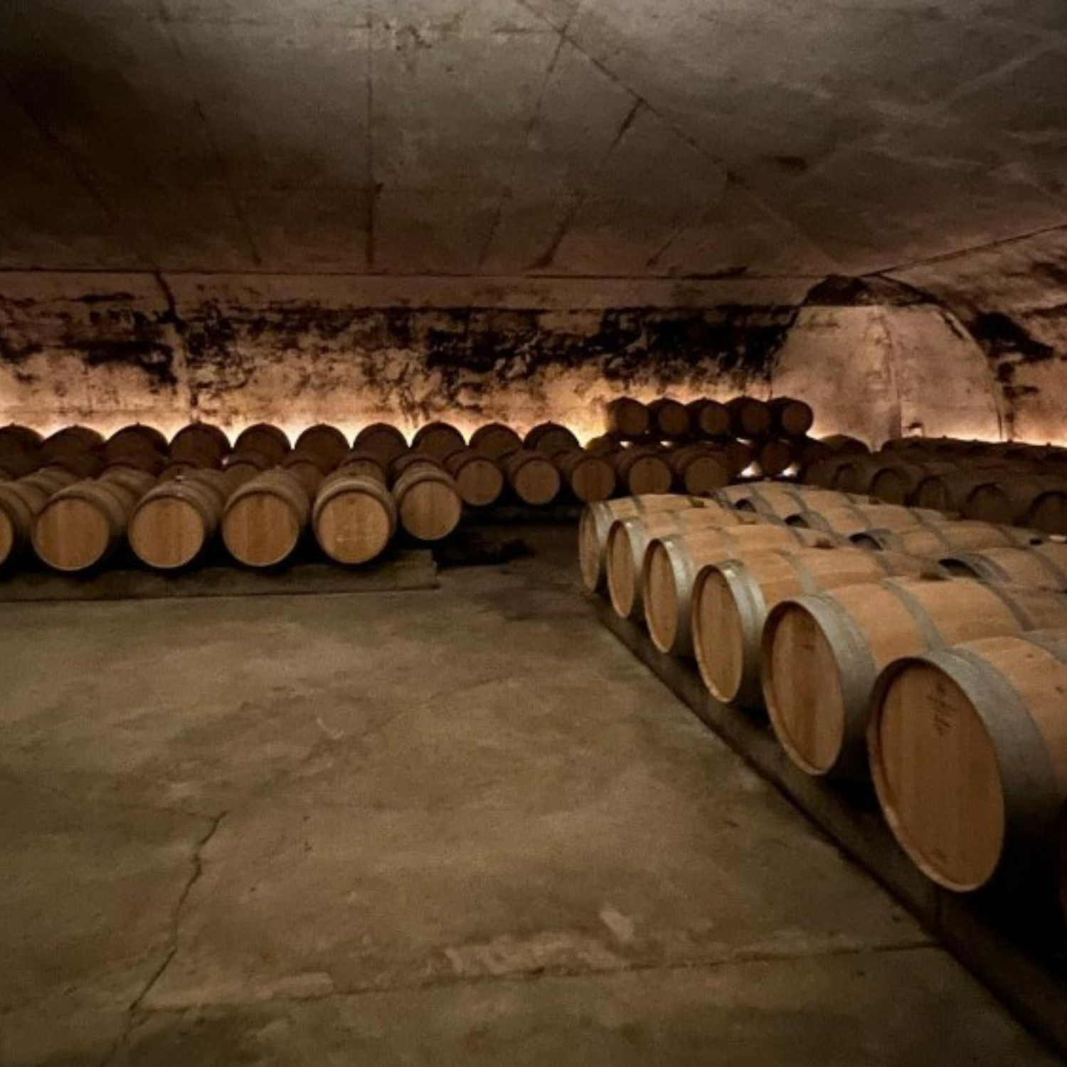 Normanby Fine Wines
